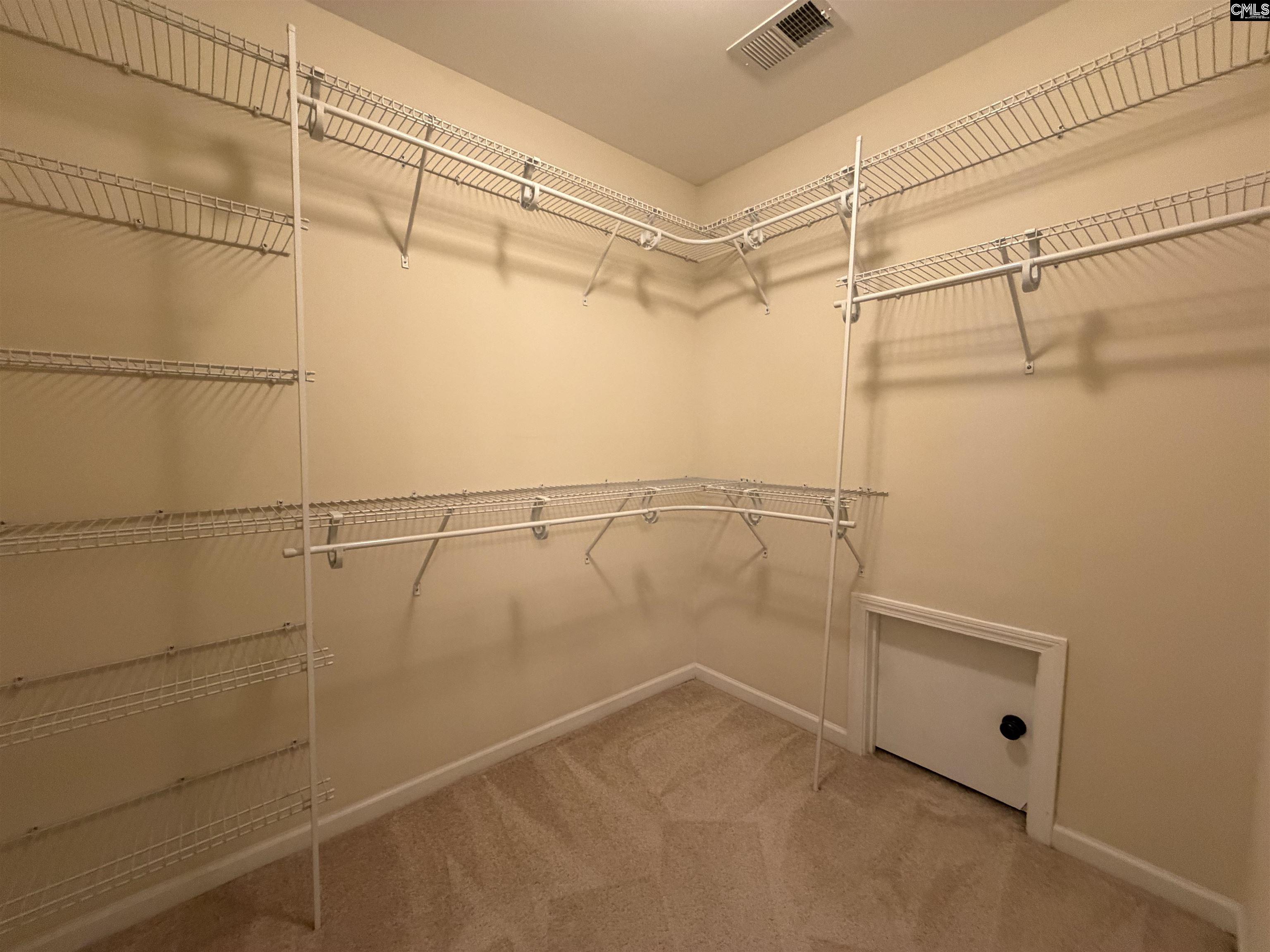 736 Kimsey Drive Chapin, SC 29036