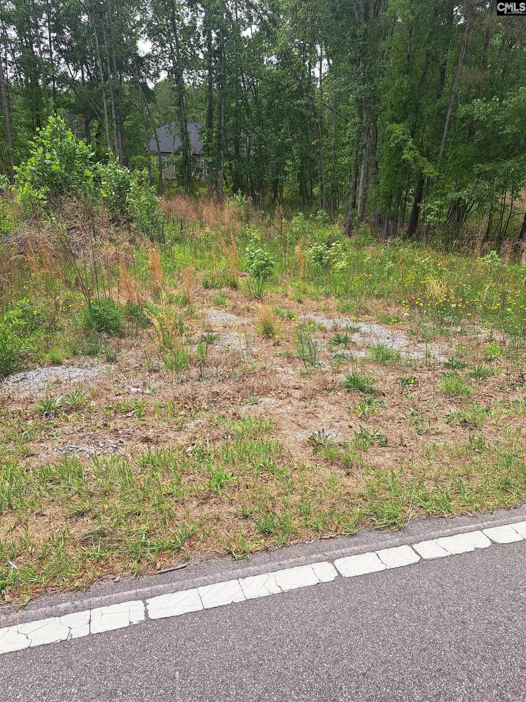 460 Grover Wilson Road Ridgeway, SC 29130-0000