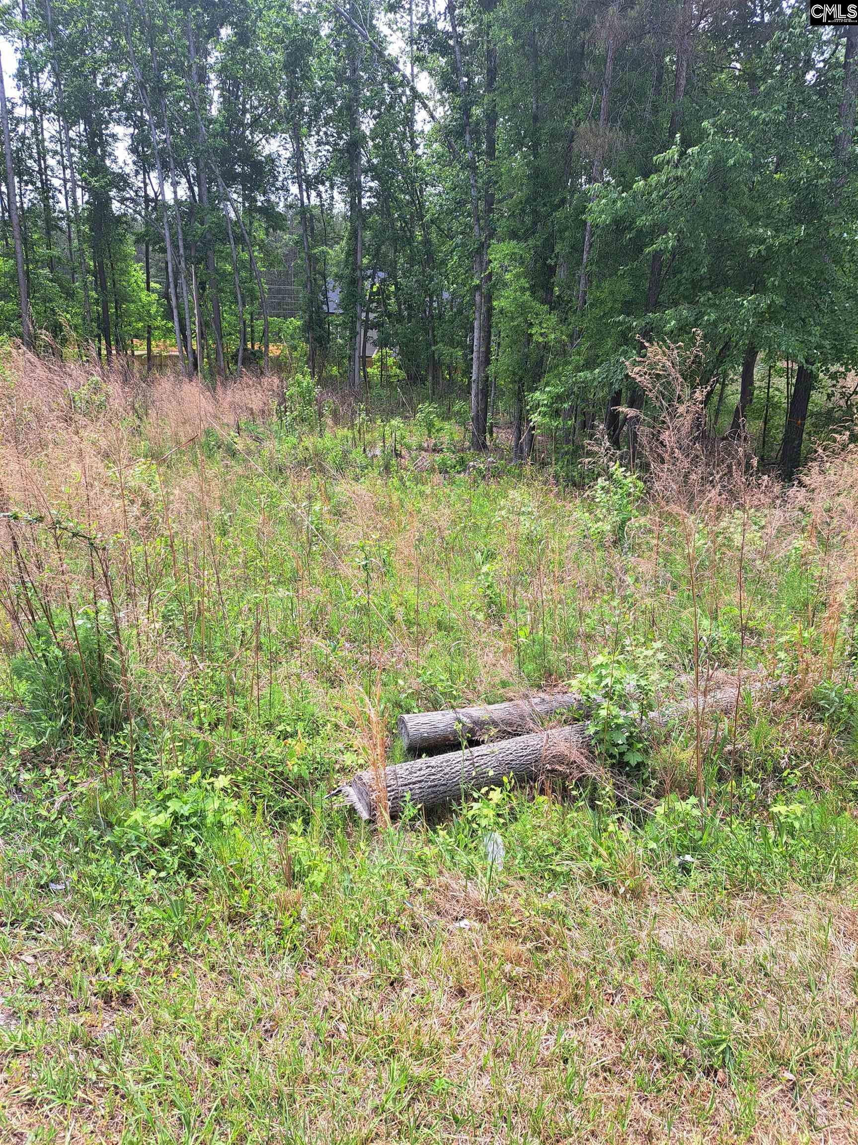 460 Grover Wilson Road Ridgeway, SC 29130-0000