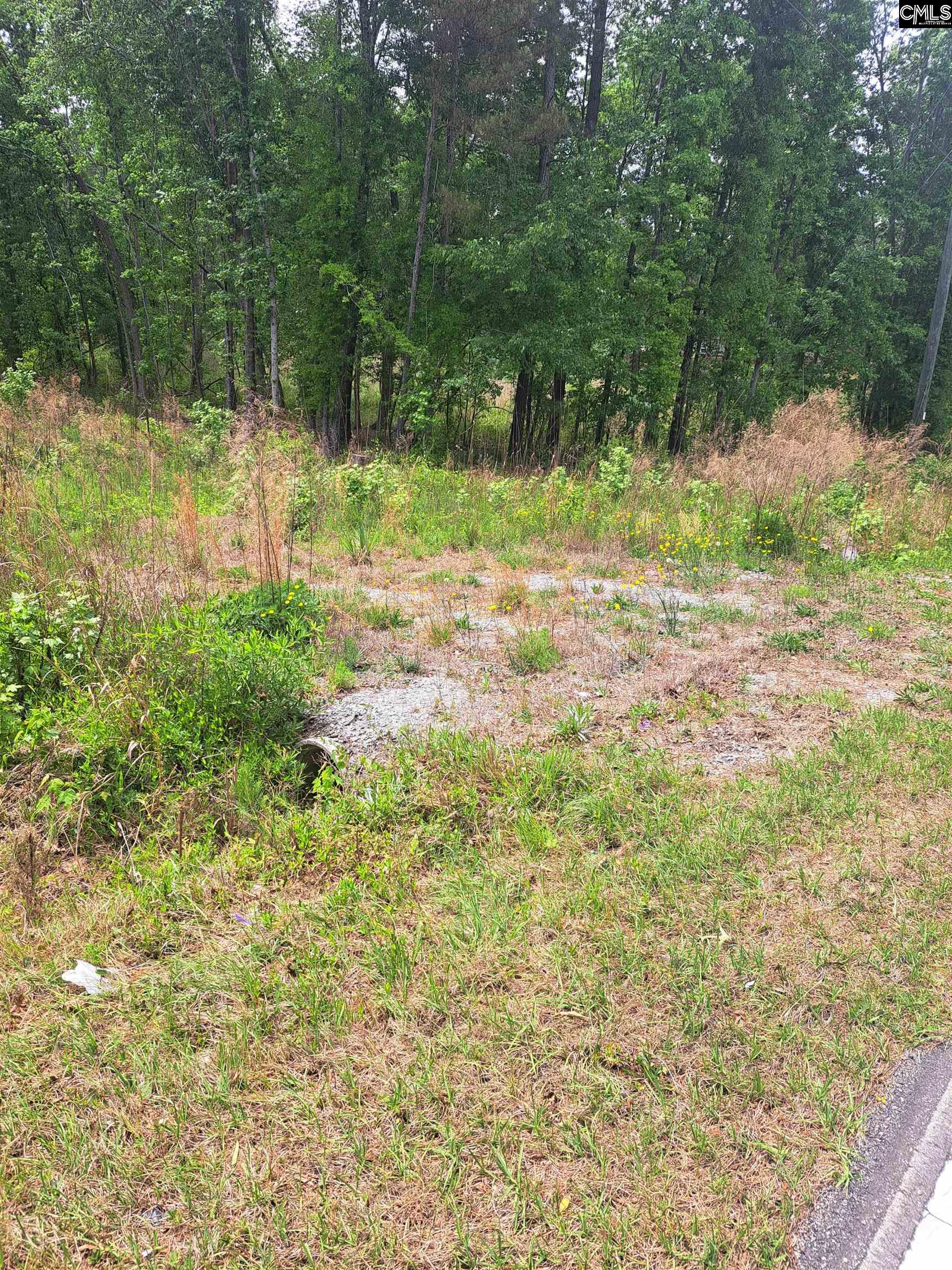 460 Grover Wilson Road Ridgeway, SC 29130-0000