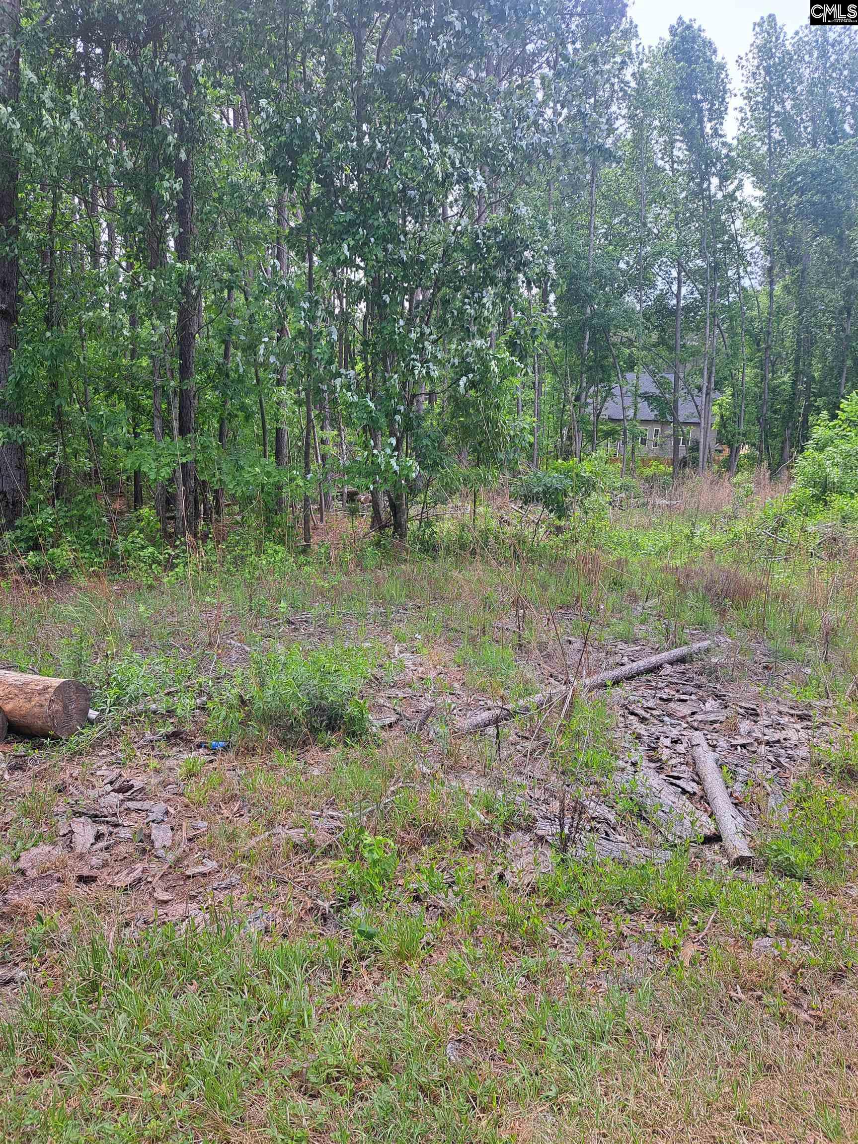 460 Grover Wilson Road Ridgeway, SC 29130-0000