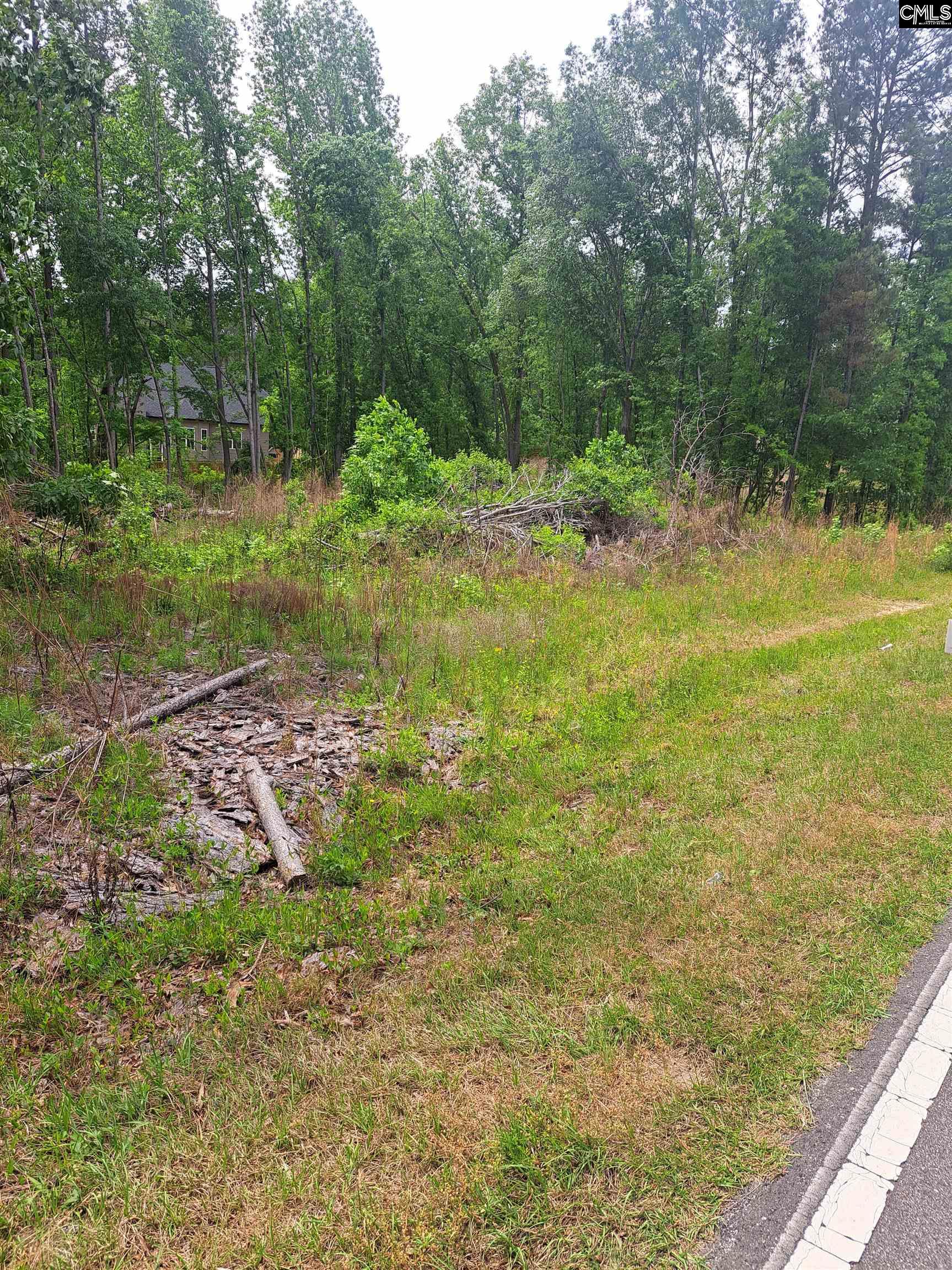 460 Grover Wilson Road Ridgeway, SC 29130-0000