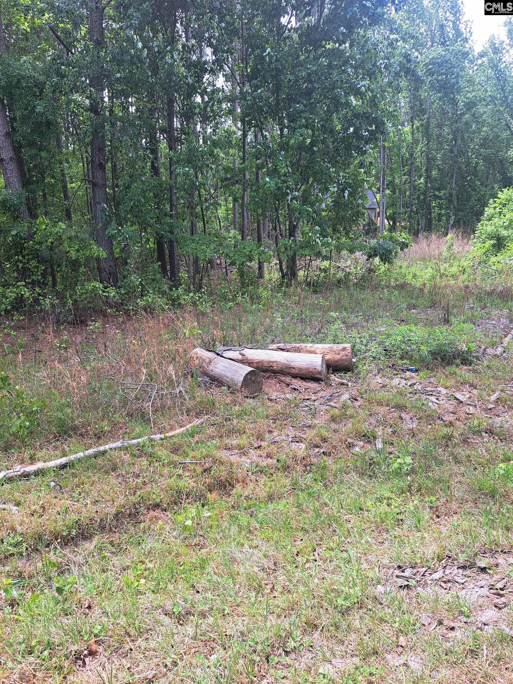 460 Grover Wilson Road Ridgeway, SC 29130-0000