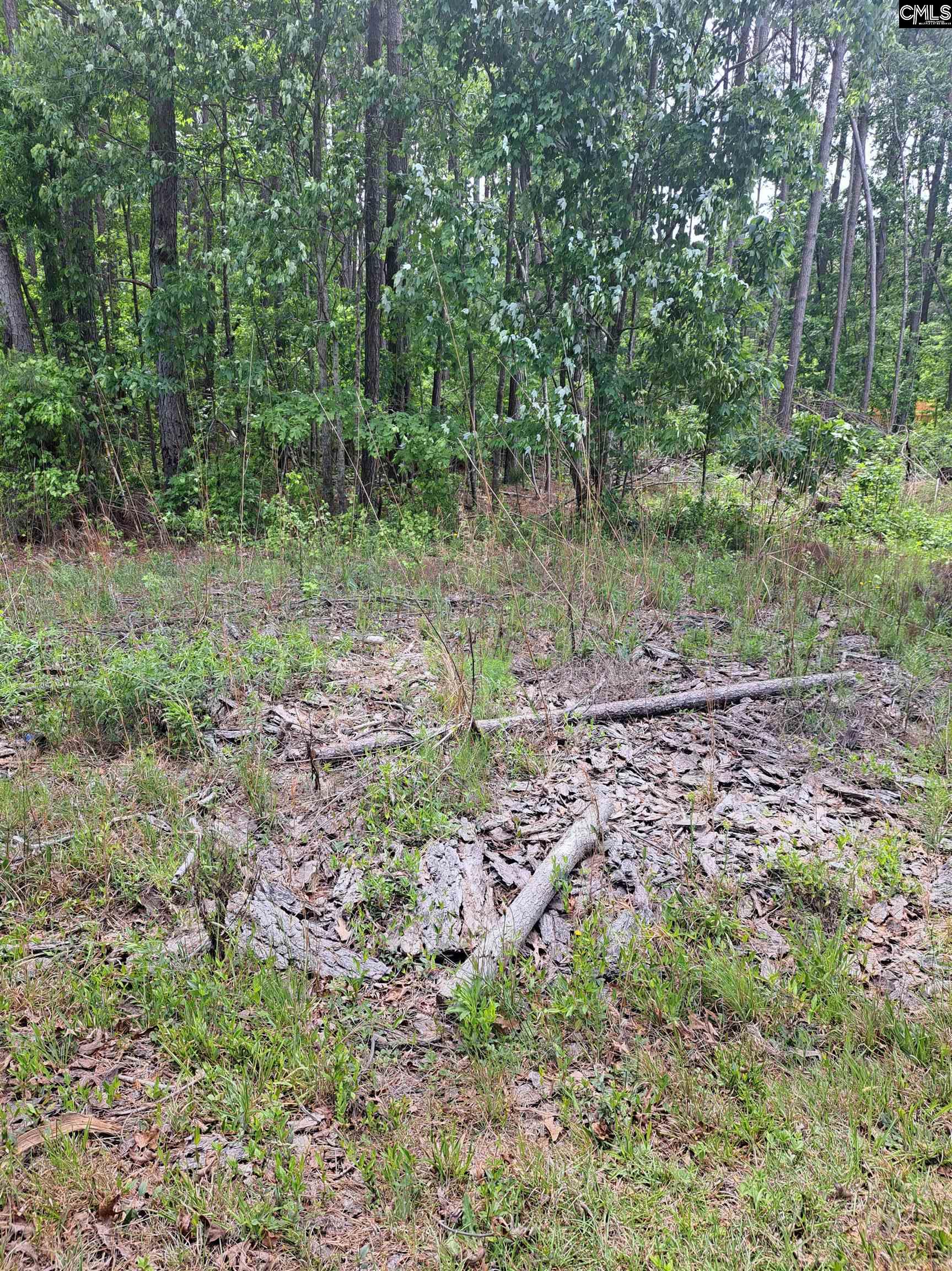 460 Grover Wilson Road Ridgeway, SC 29130-0000