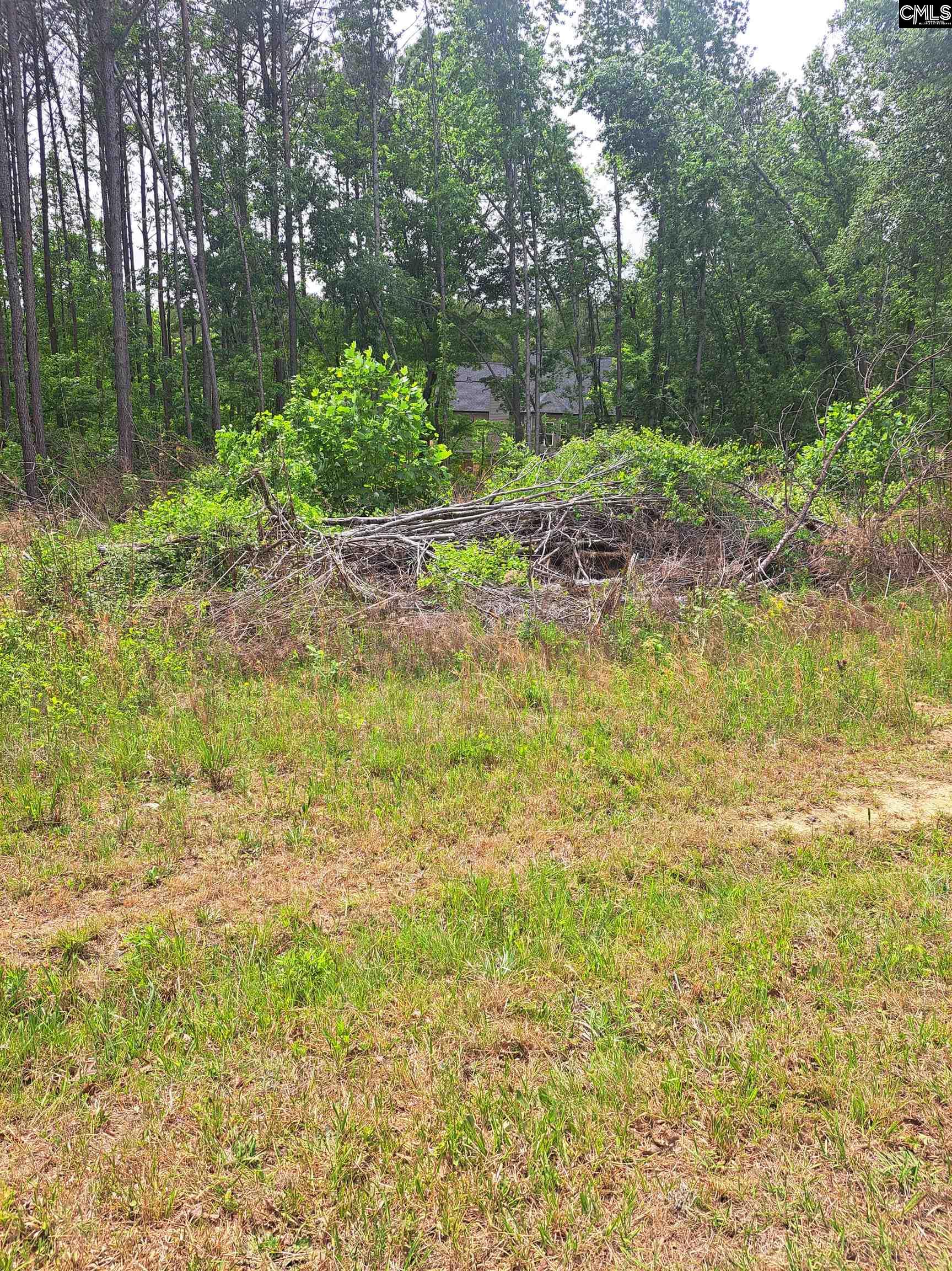 460 Grover Wilson Road Ridgeway, SC 29130-0000