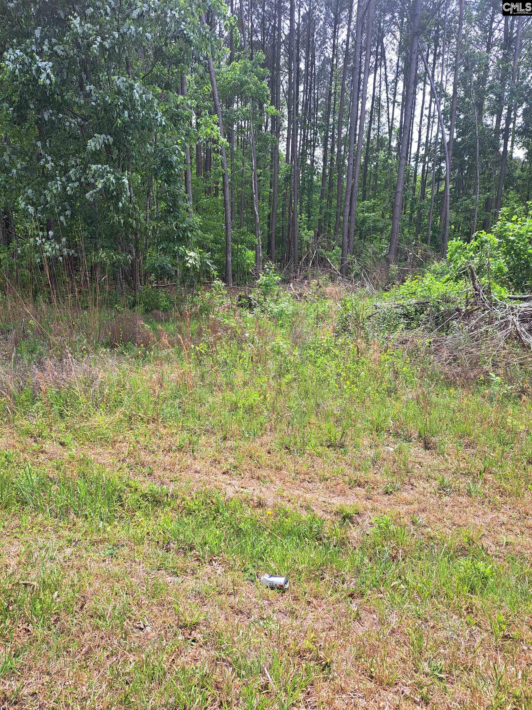 460 Grover Wilson Road Ridgeway, SC 29130-0000