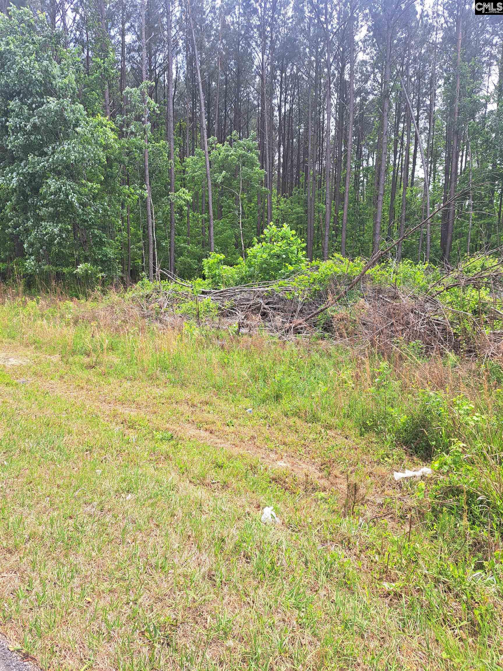 460 Grover Wilson Road Ridgeway, SC 29130-0000
