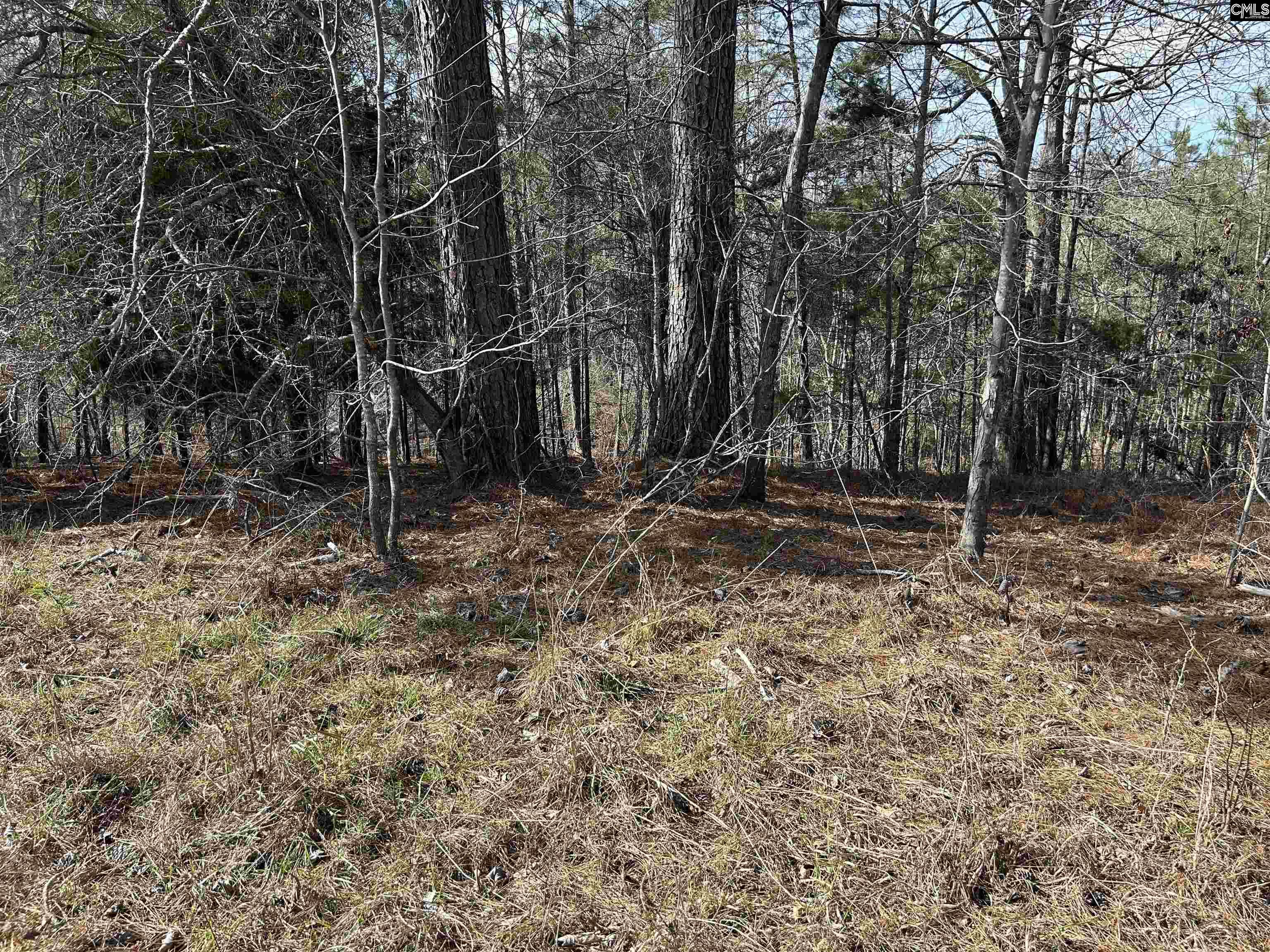 826 Old Goldmine Road Troy, SC 28791