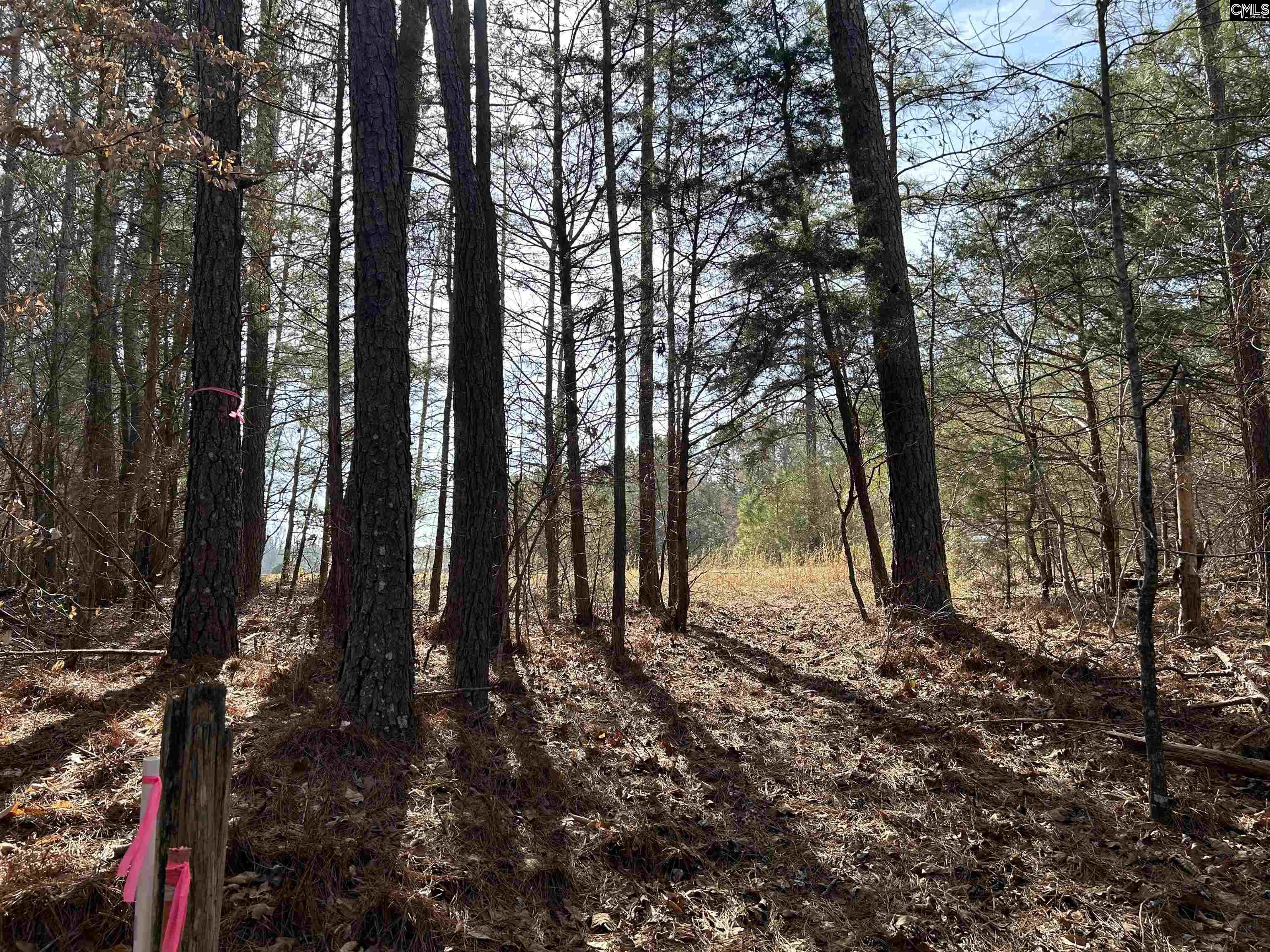 826 Old Goldmine Road Troy, SC 28791