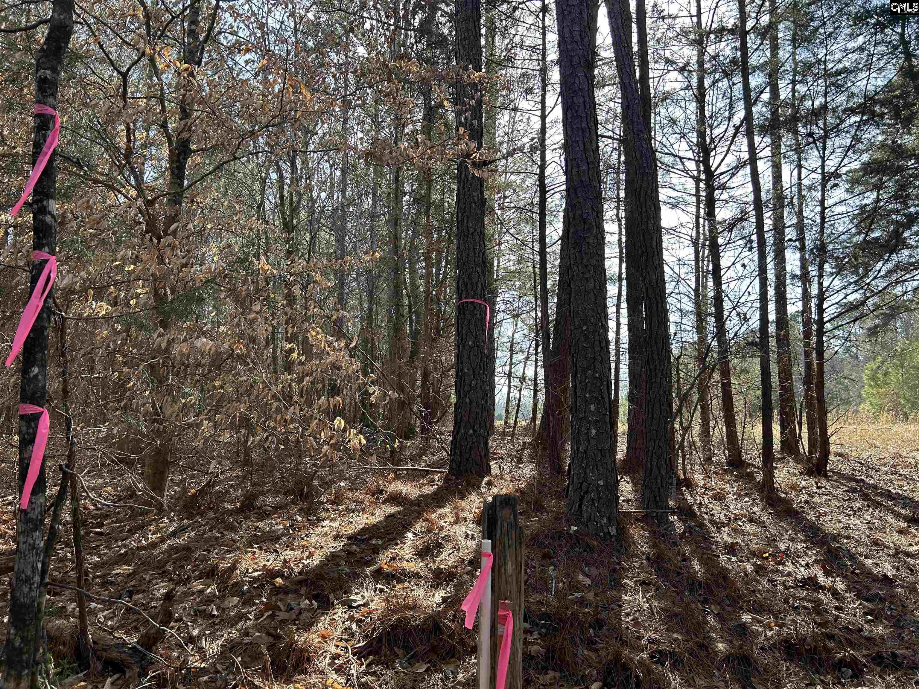 826 Old Goldmine Road Troy, SC 28791