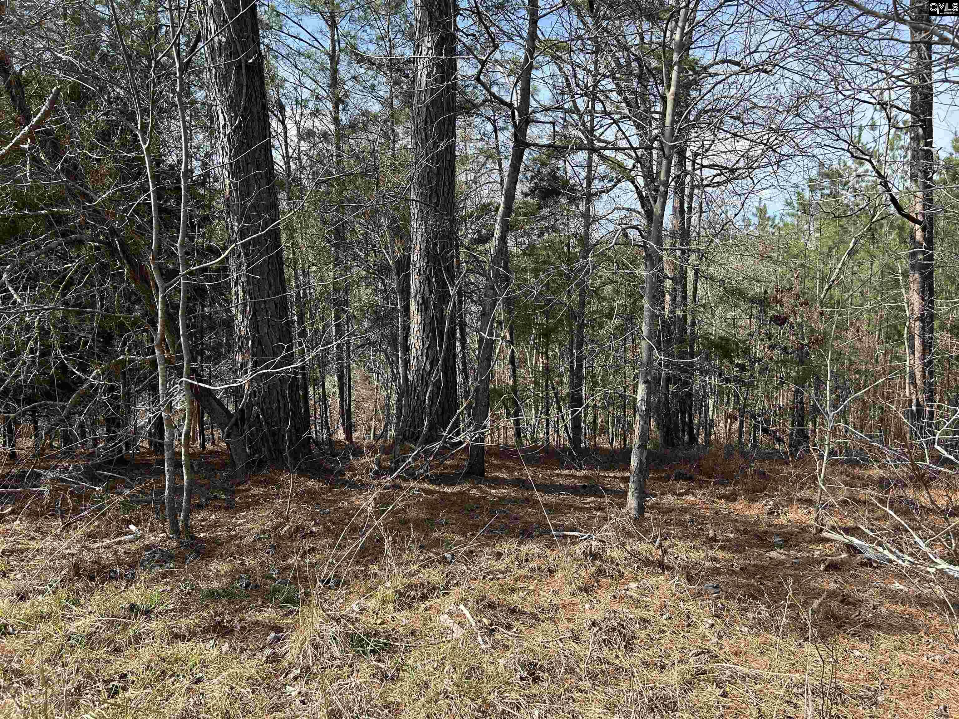826 Old Goldmine Road Troy, SC 28791