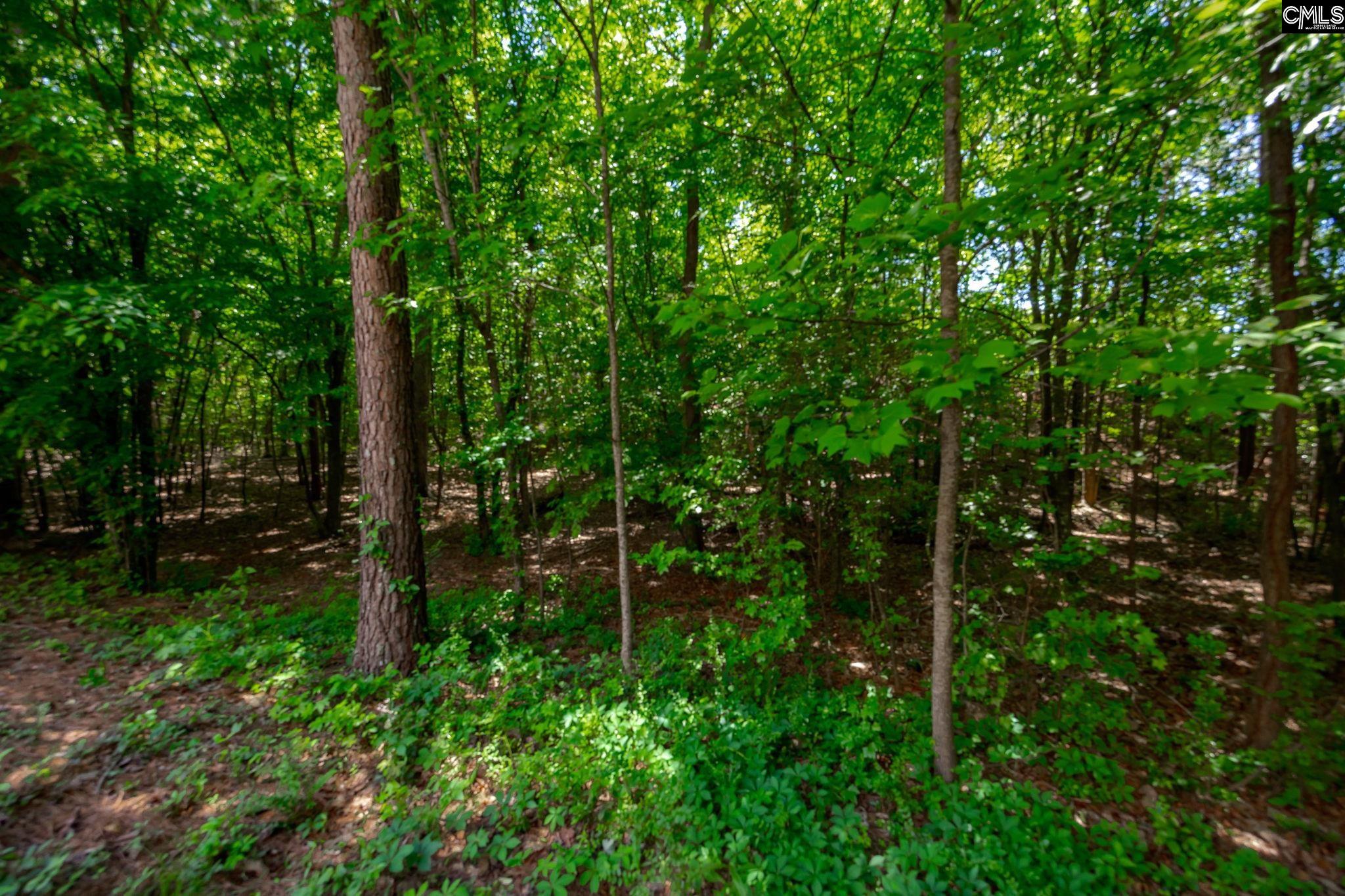 221 Allenbrooke Drive Lexington, SC 29072