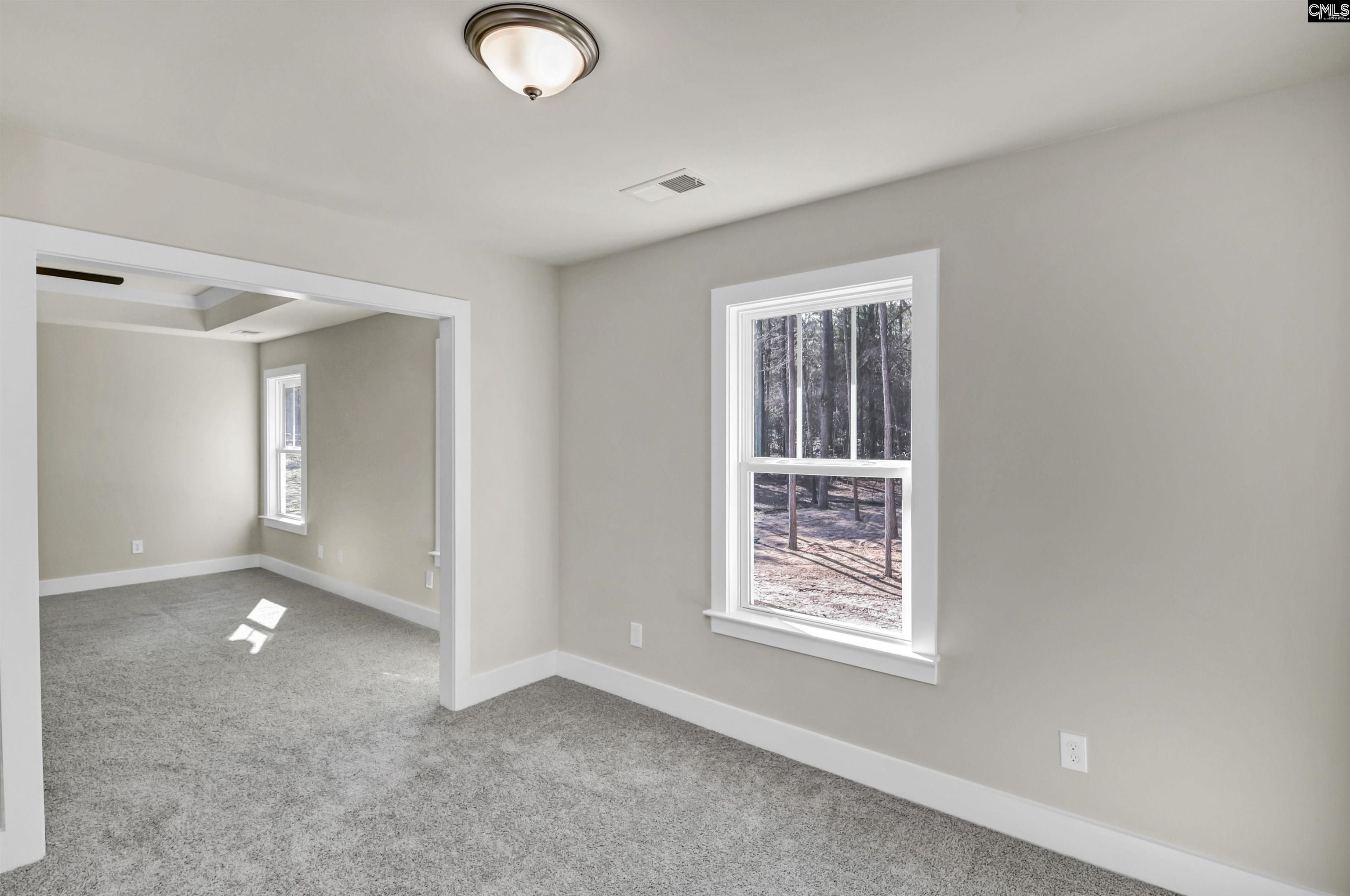 119 Greengarden Drive Chapin, SC 29036