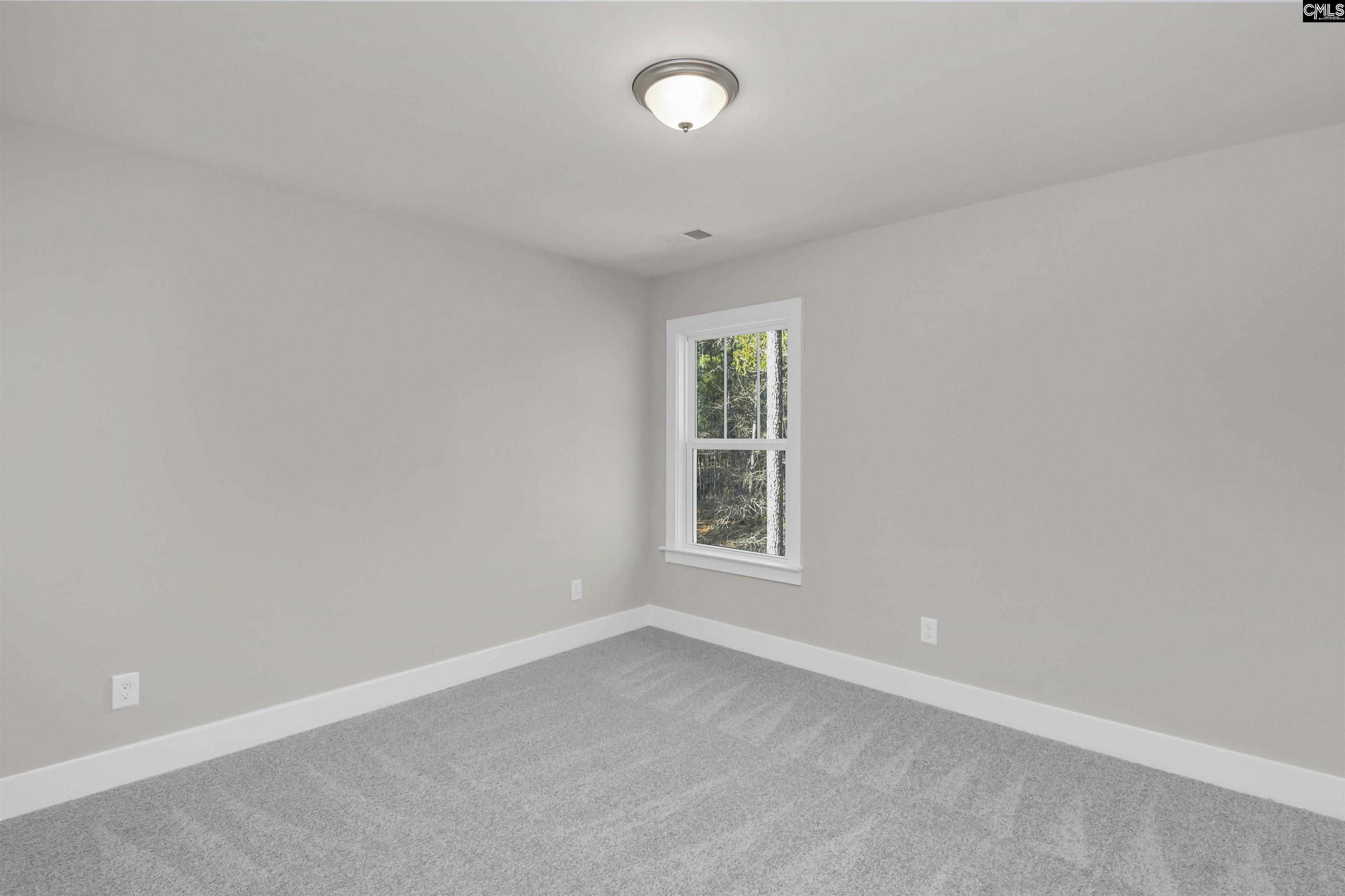 119 Greengarden Drive Chapin, SC 29036