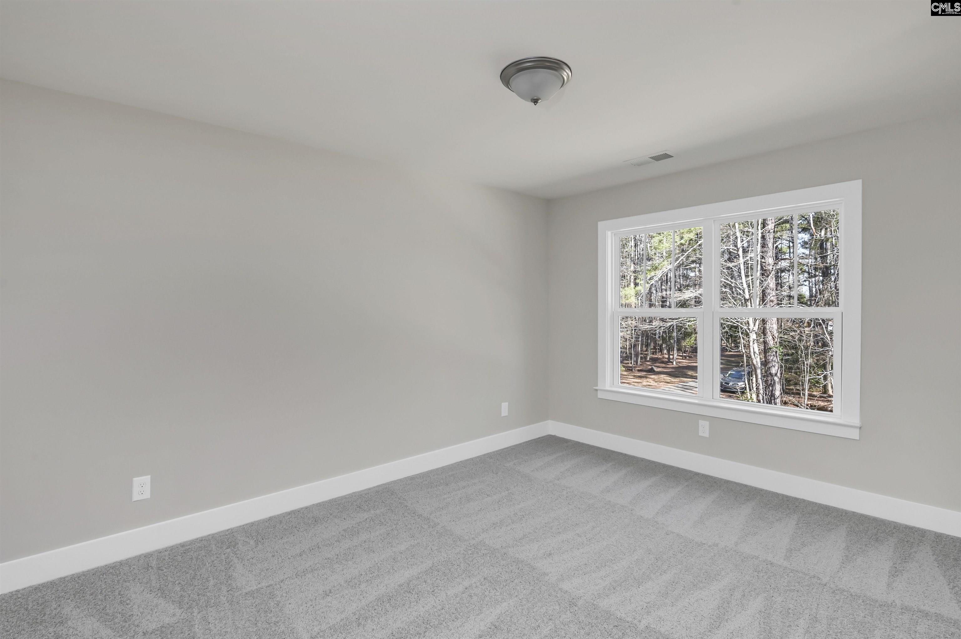119 Greengarden Drive Chapin, SC 29036