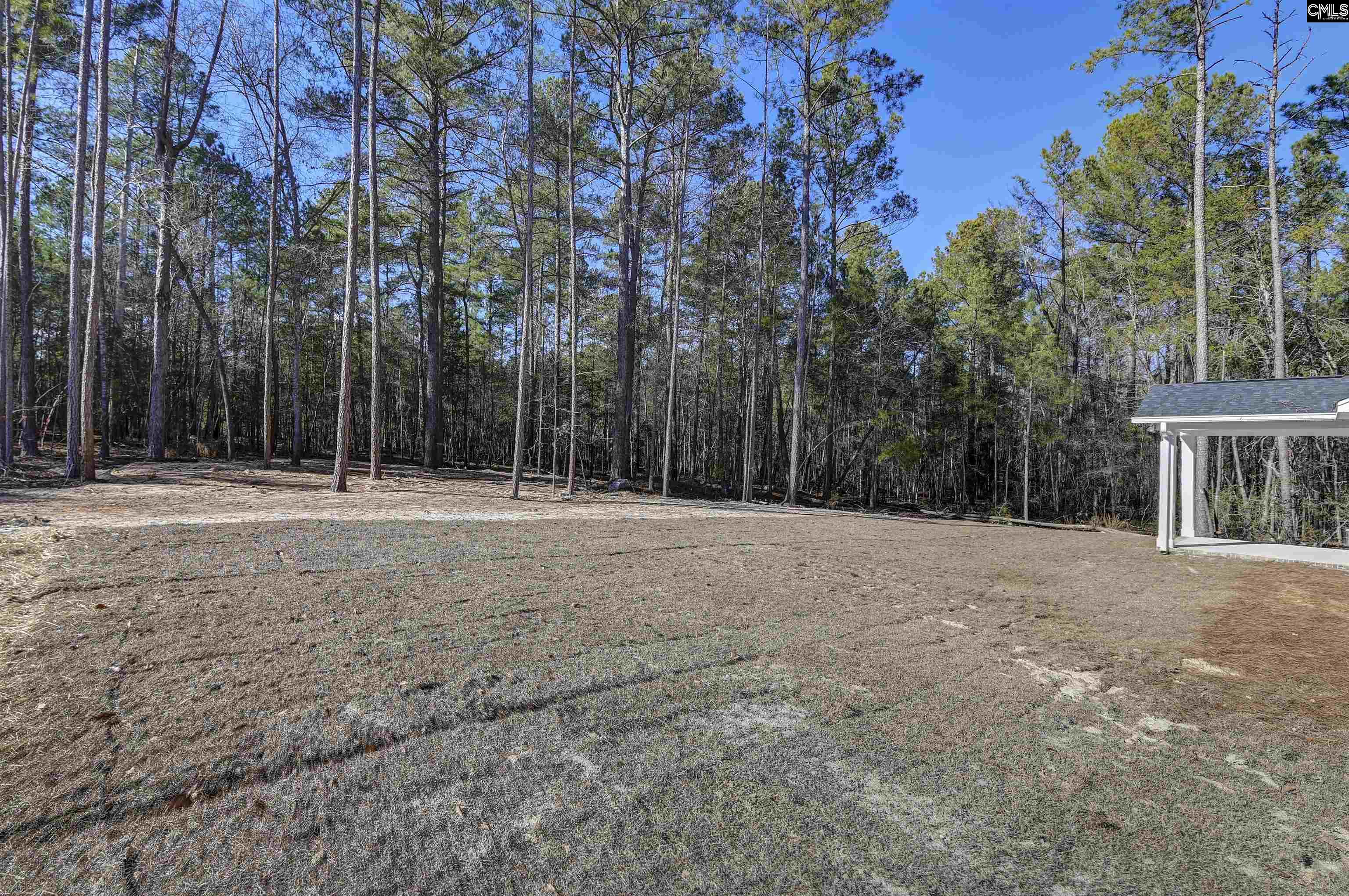 119 Greengarden Drive Chapin, SC 29036