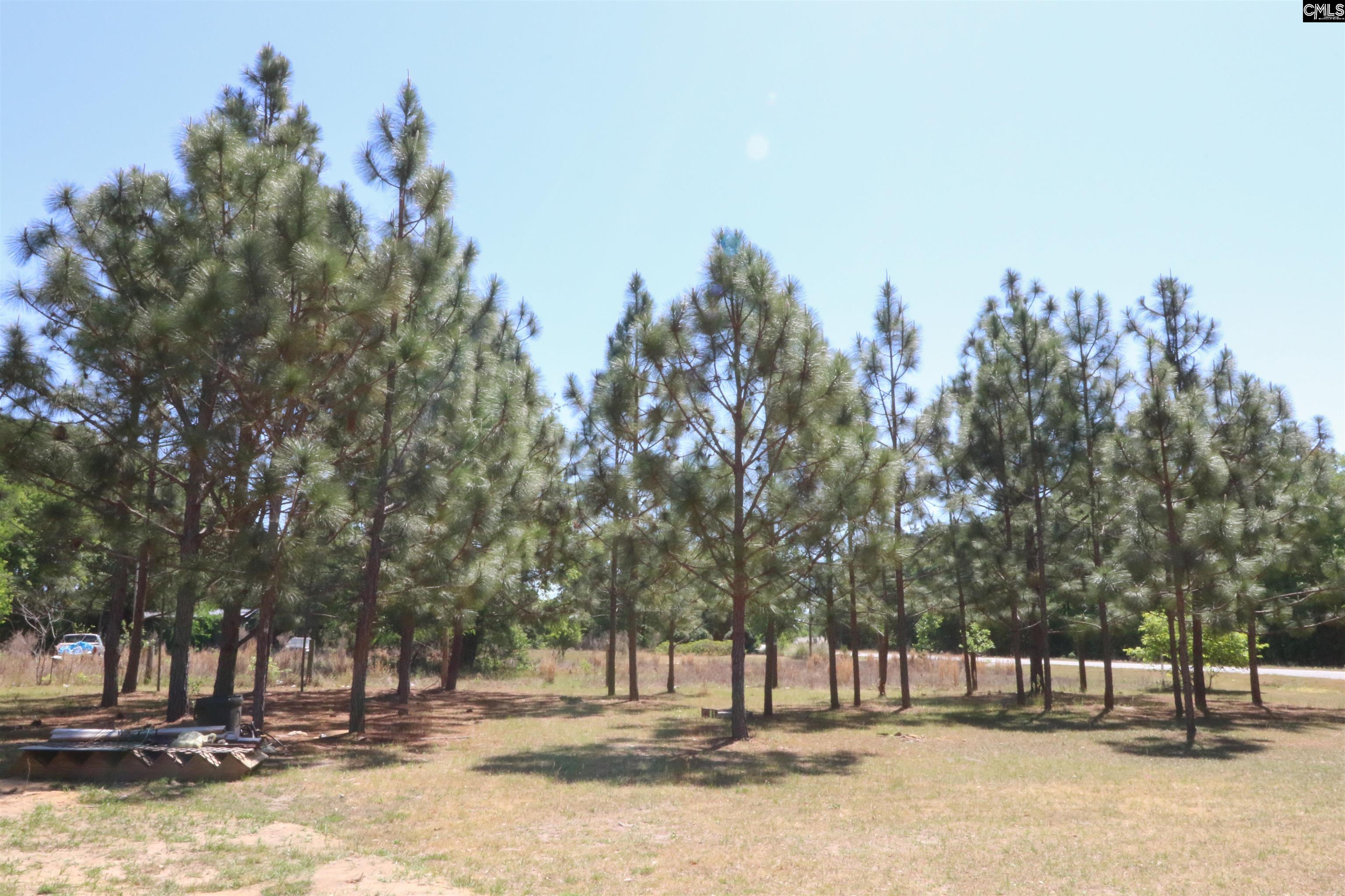 6227 Hollow Creek Road Salley, SC 29137