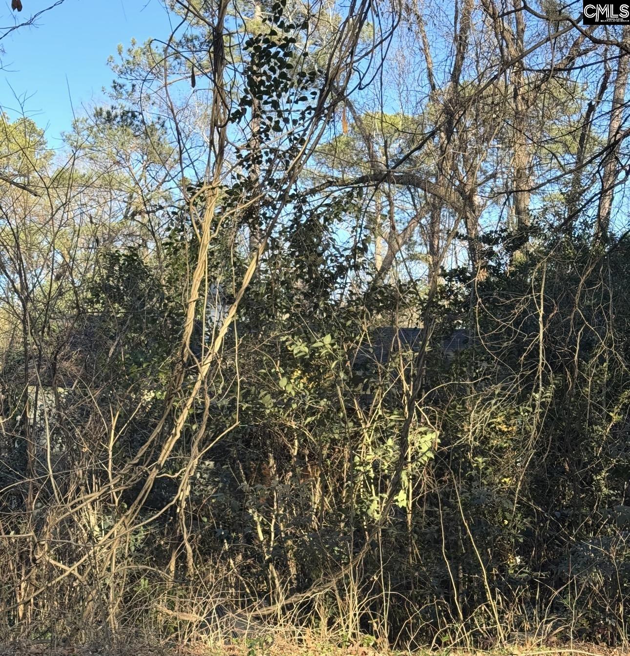 1522 Jerome Drive, Columbia — photo 3