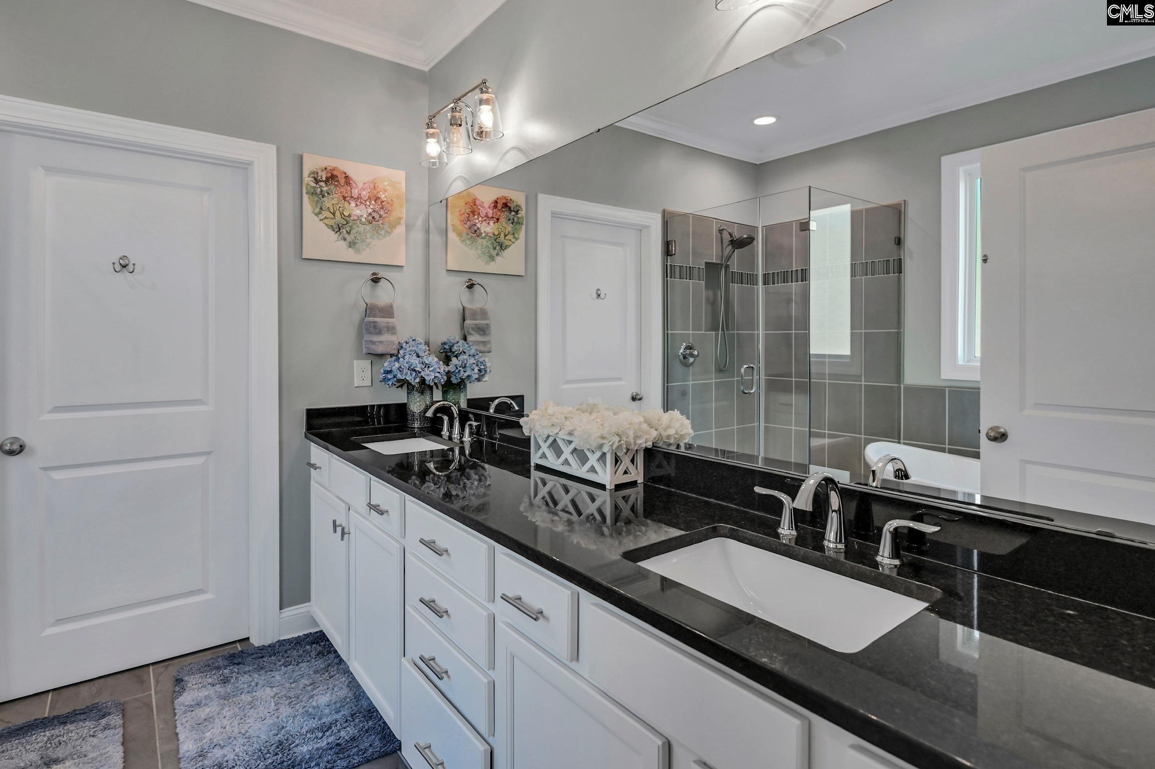 100 Pointe Overlook Drive Chapin, SC 29036
