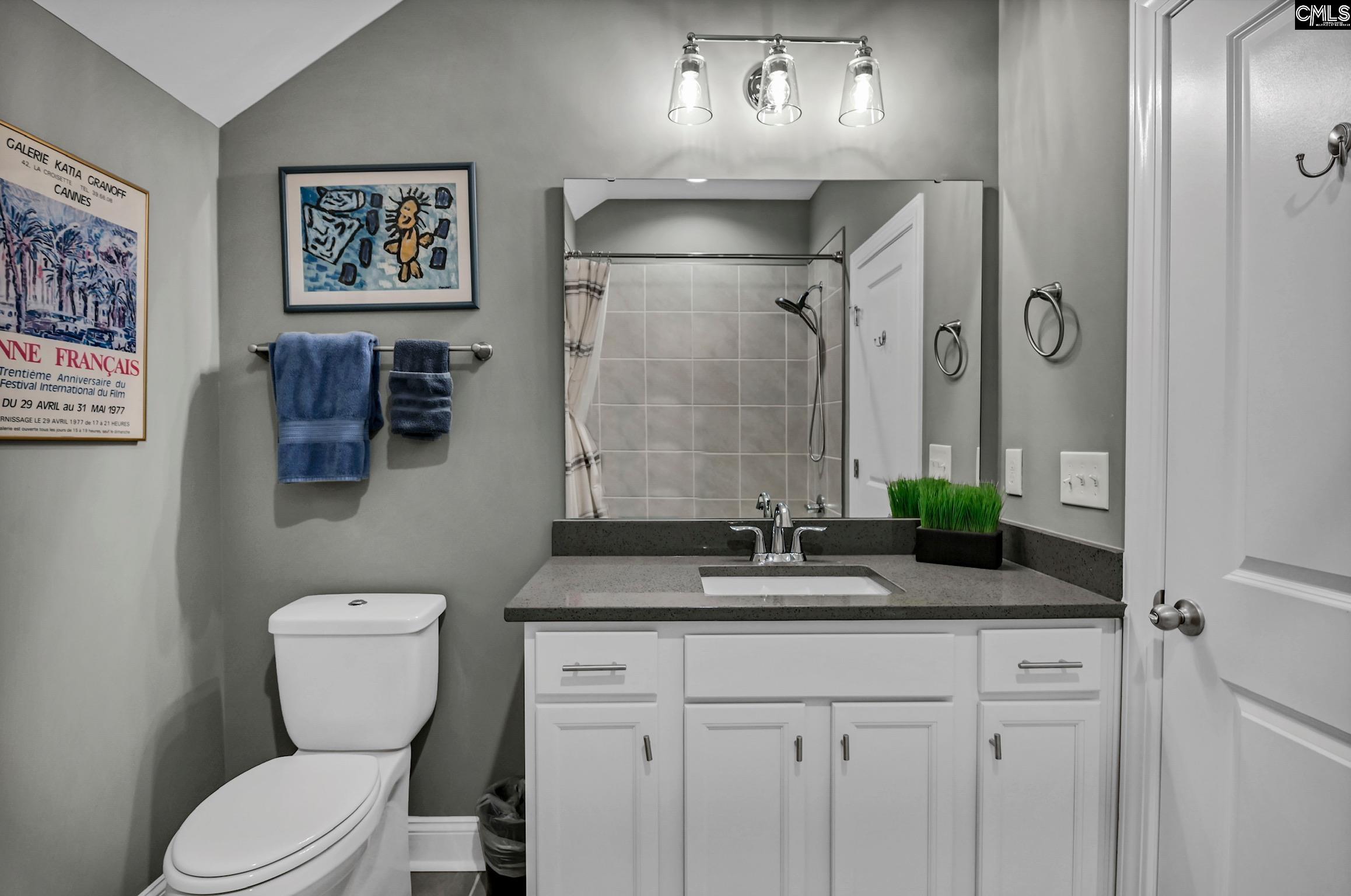 100 Pointe Overlook Drive Chapin, SC 29036