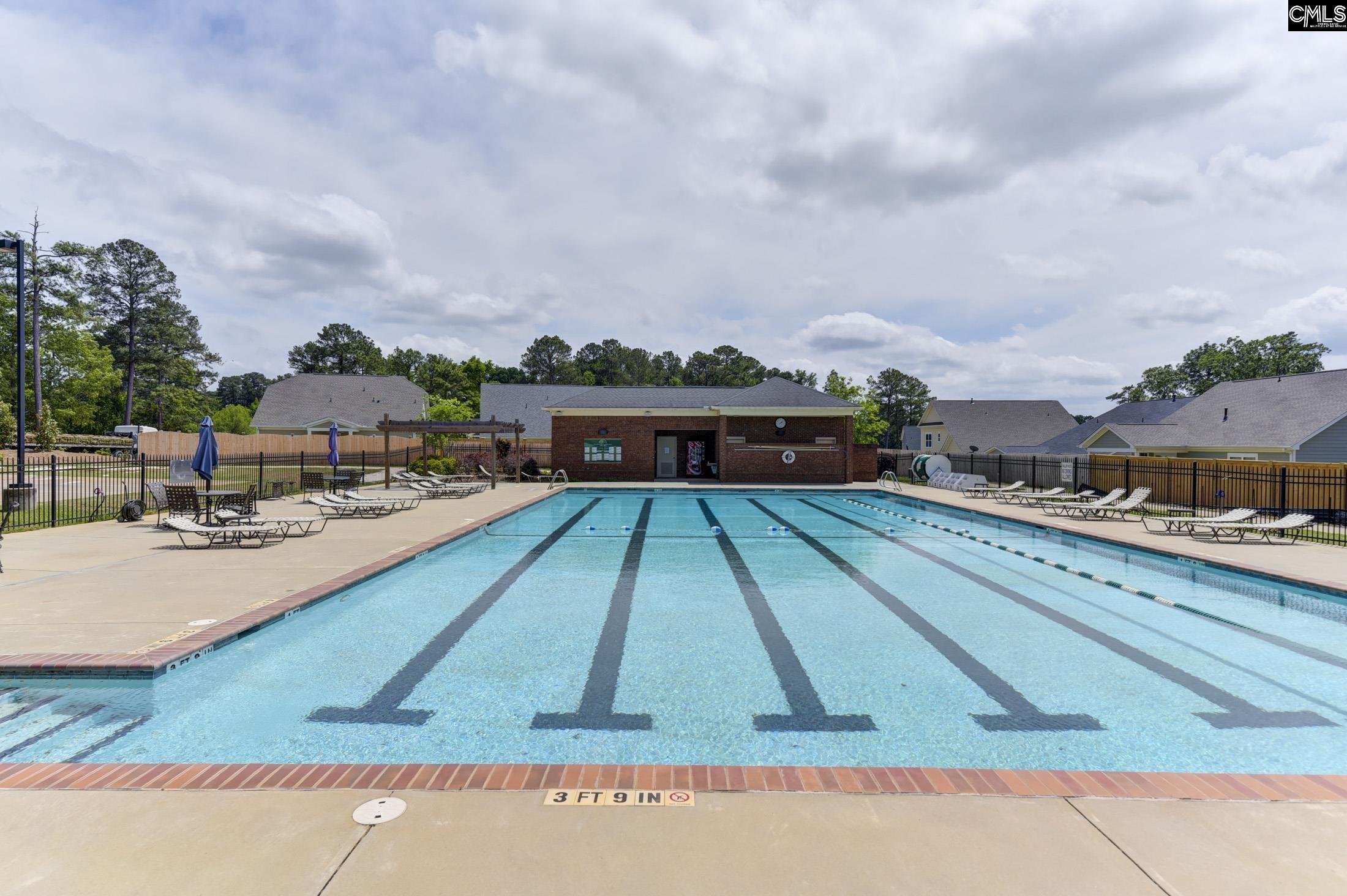 100 Pointe Overlook Drive Chapin, SC 29036