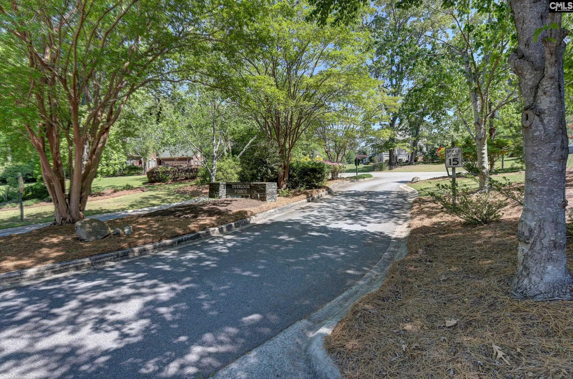 100 Pointe Overlook Drive Chapin, SC 29036