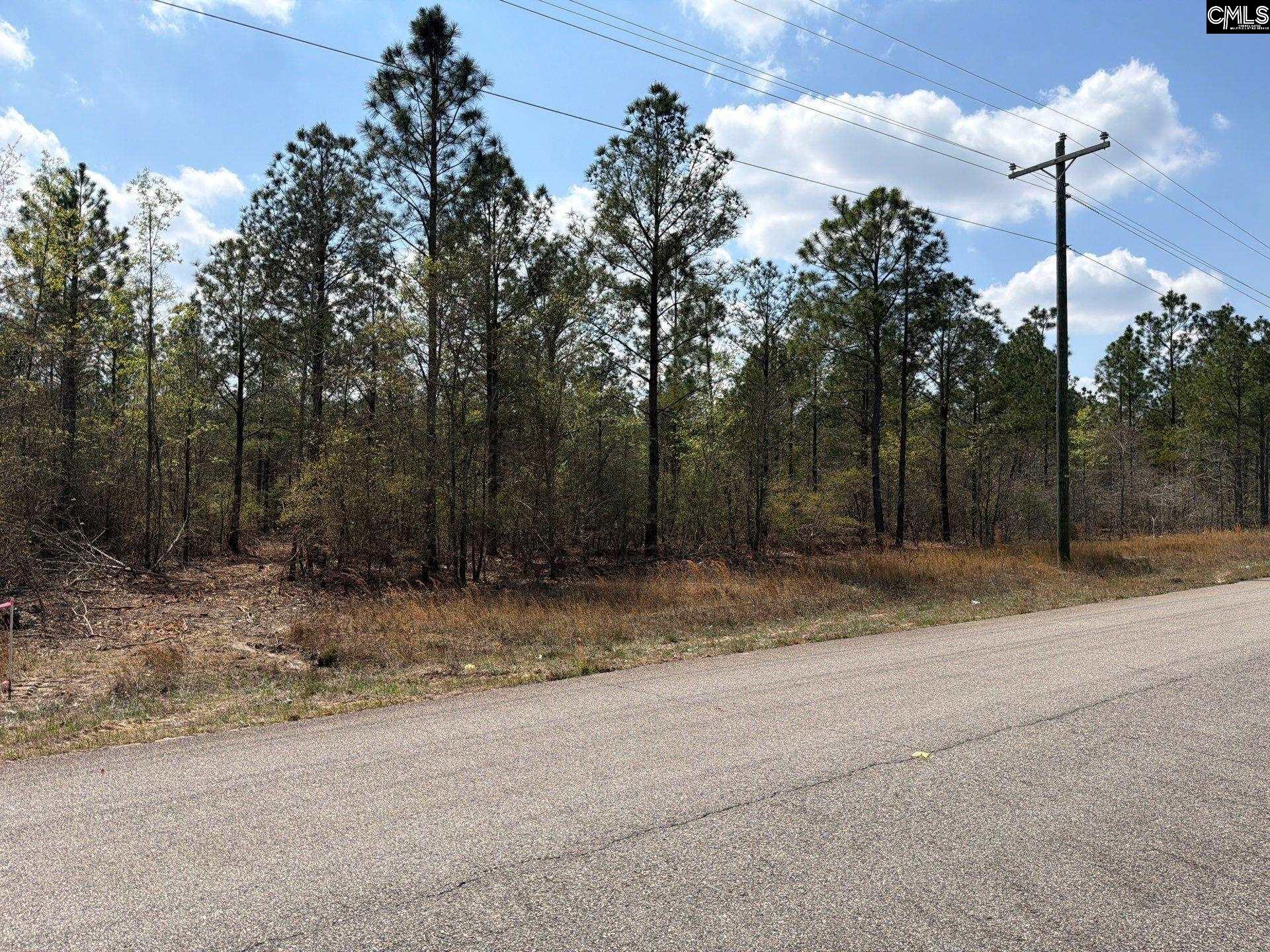 CA 7 Mt. Calvary Road UNIT CA 7 Ridge Spring, SC 29129