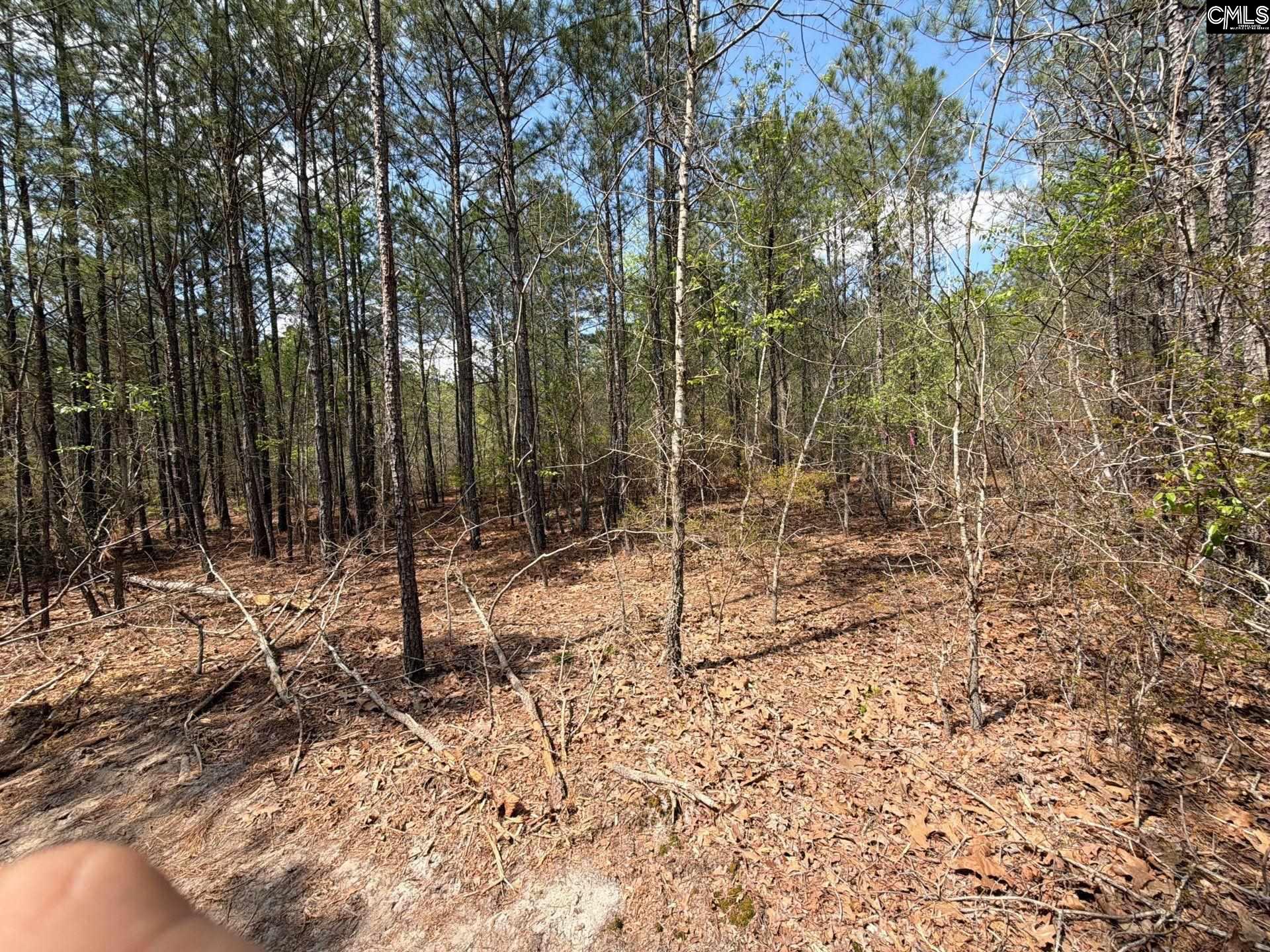 CA 7 Mt. Calvary Road UNIT CA 7 Ridge Spring, SC 29129