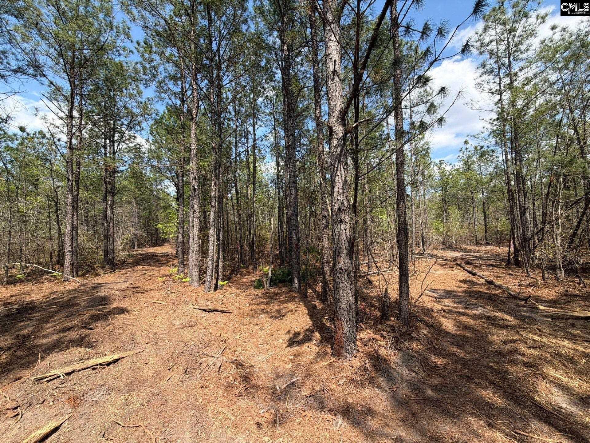 CA 7 Mt. Calvary Road UNIT CA 7 Ridge Spring, SC 29129
