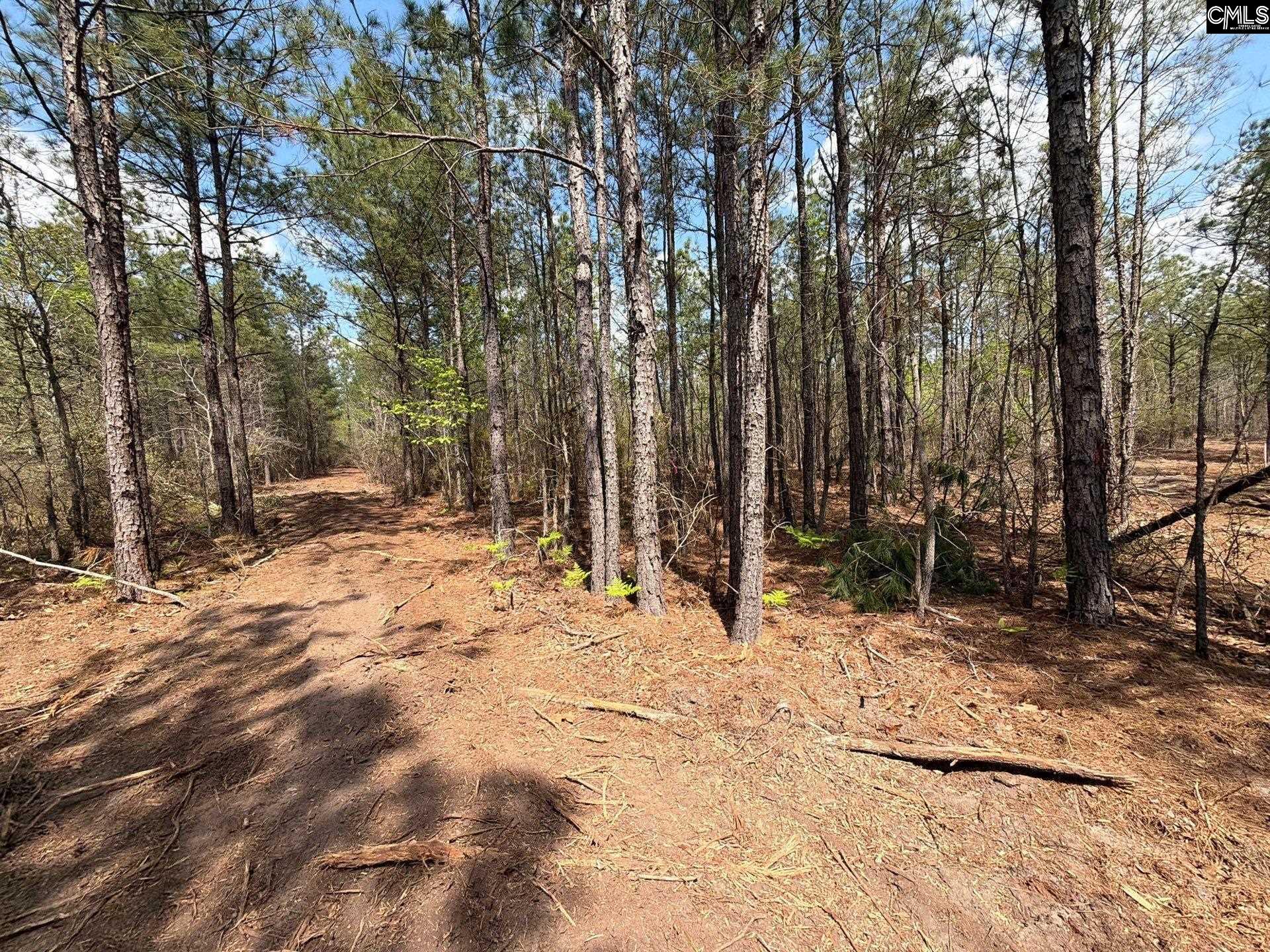 CA 7 Mt. Calvary Road UNIT CA 7 Ridge Spring, SC 29129