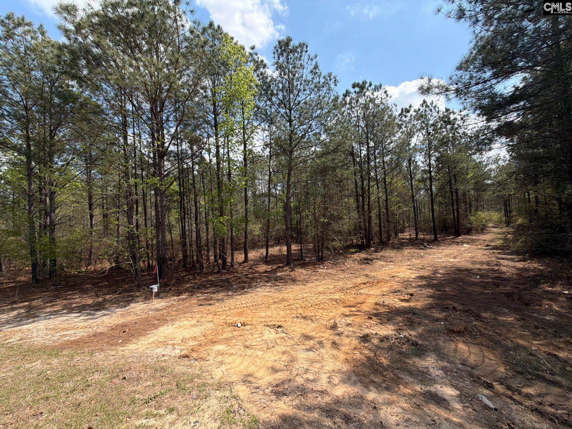 CA 7 Mt. Calvary Road UNIT CA 7 Ridge Spring, SC 29129
