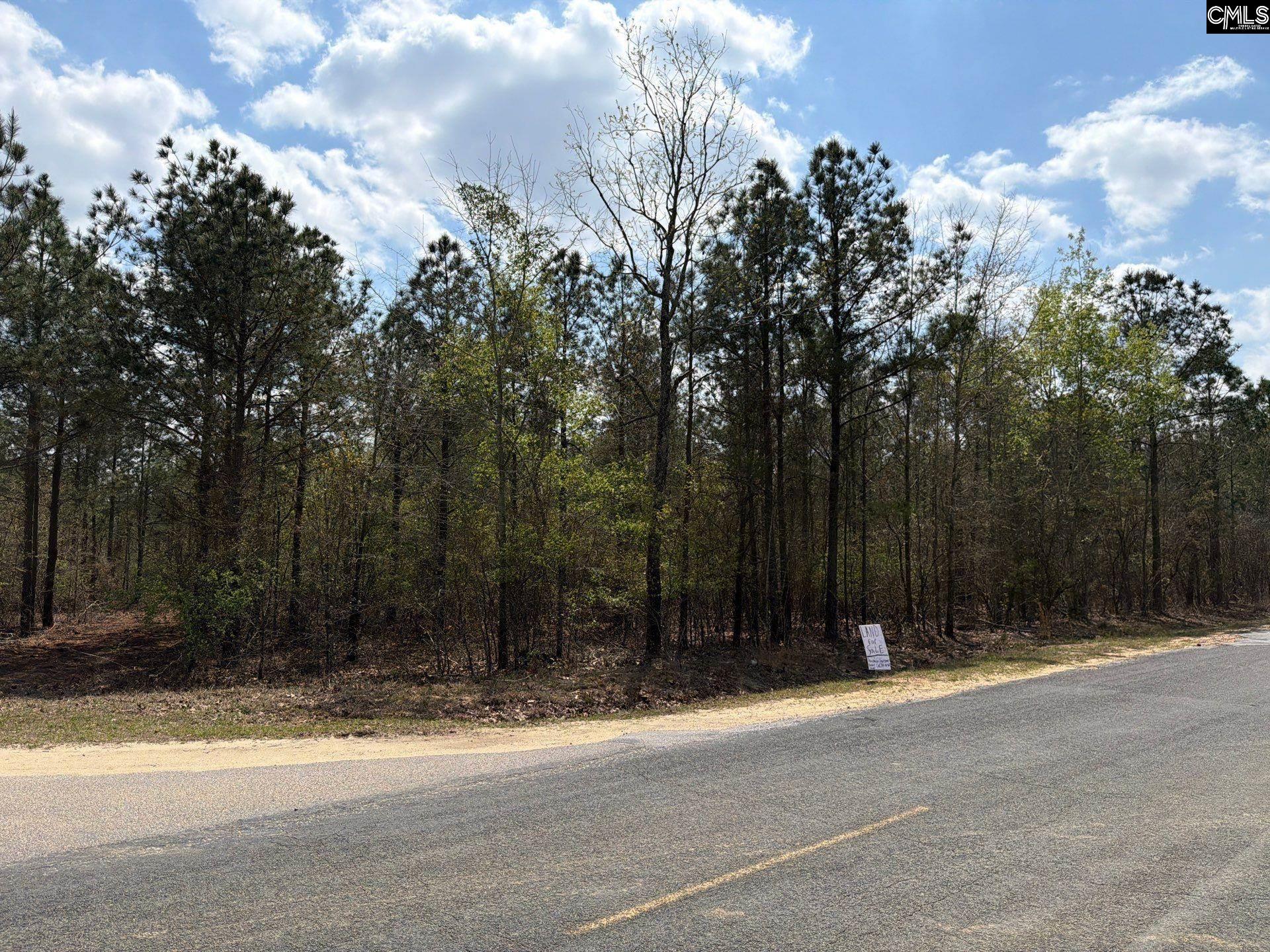 CA 7 Mt. Calvary Road UNIT CA 7 Ridge Spring, SC 29129