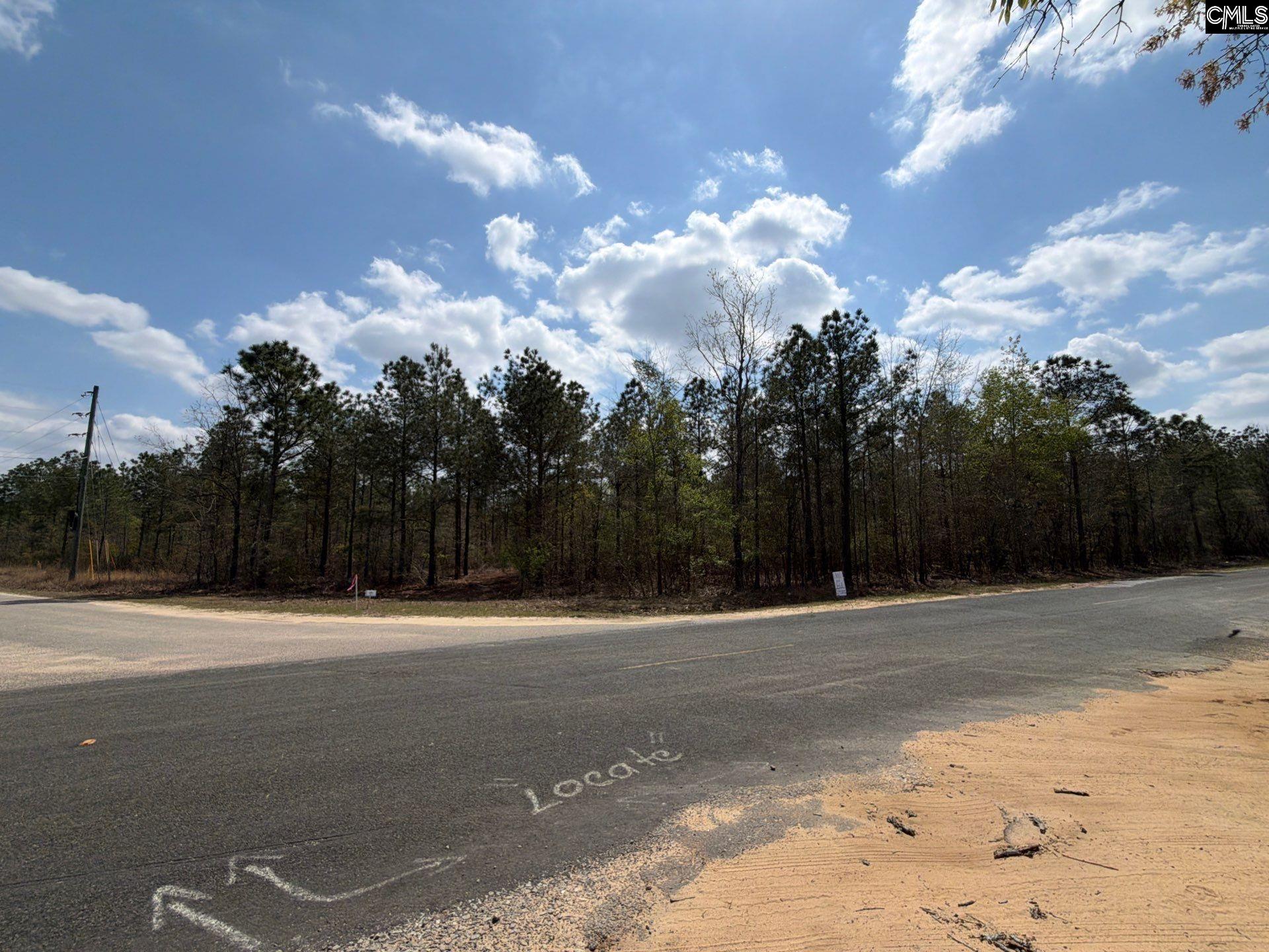CA 7 Mt. Calvary Road UNIT CA 7 Ridge Spring, SC 29129