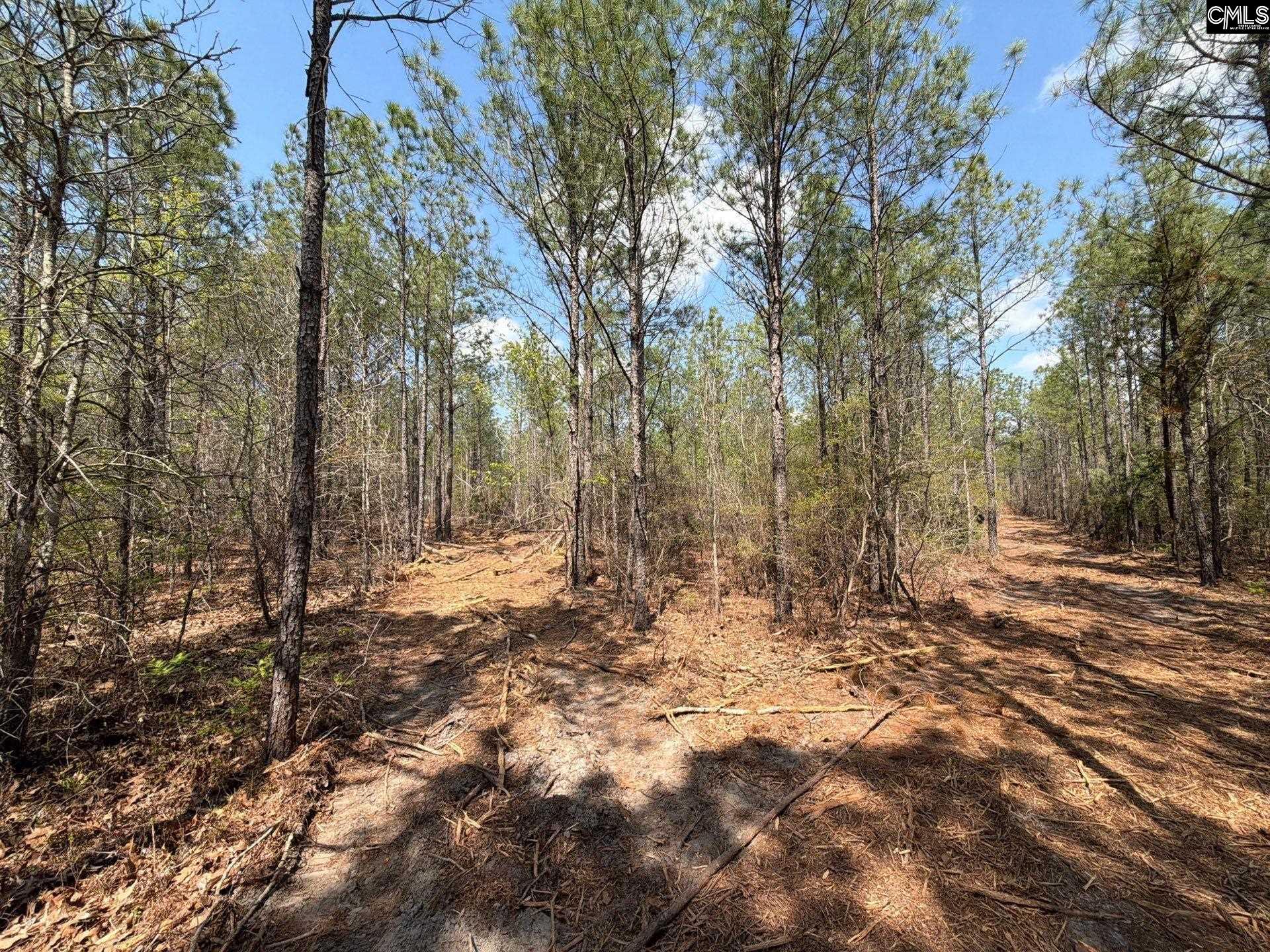 CA 7 Mt. Calvary Road UNIT CA 7 Ridge Spring, SC 29129