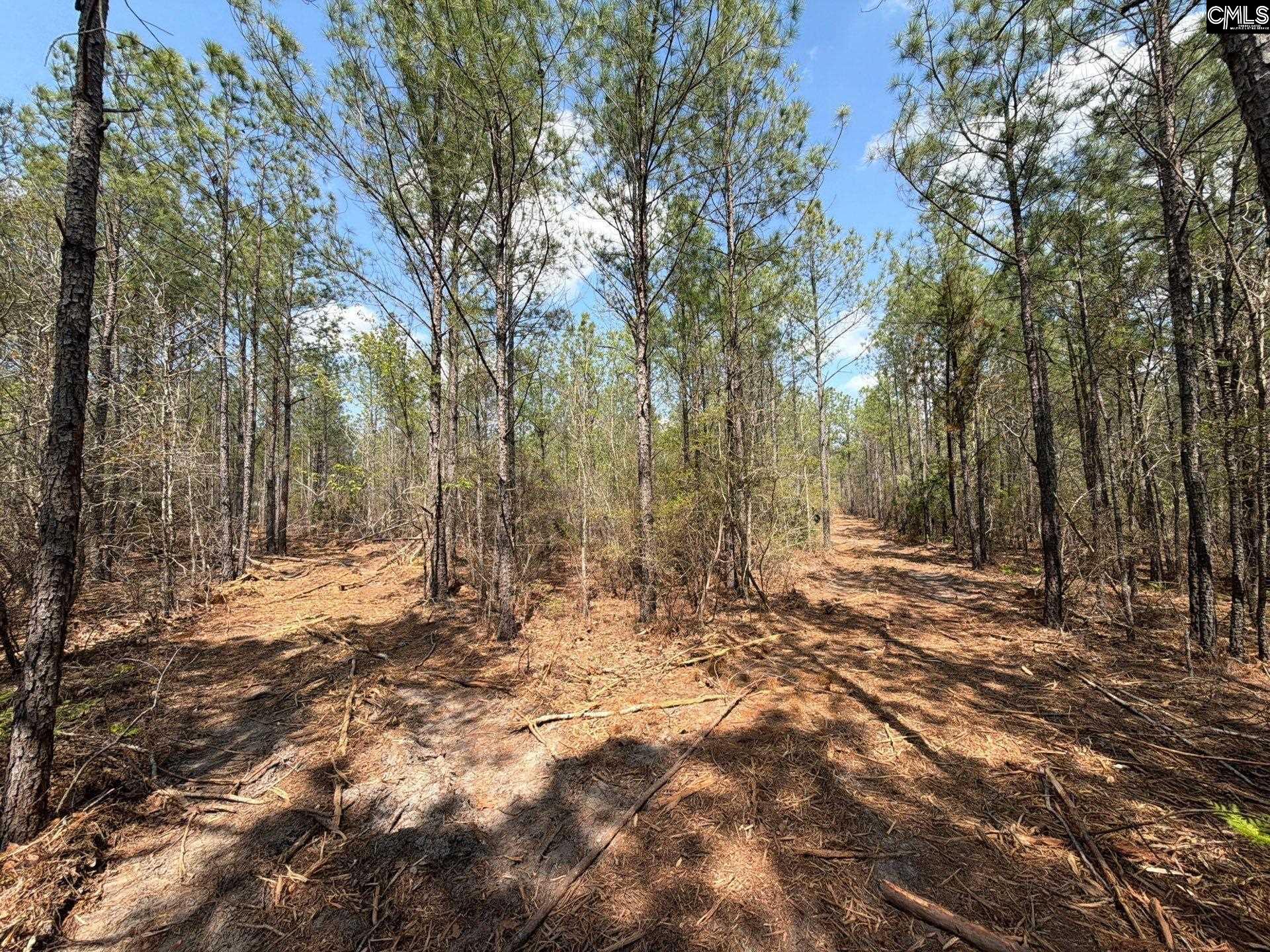 CA 7 Mt. Calvary Road UNIT CA 7 Ridge Spring, SC 29129