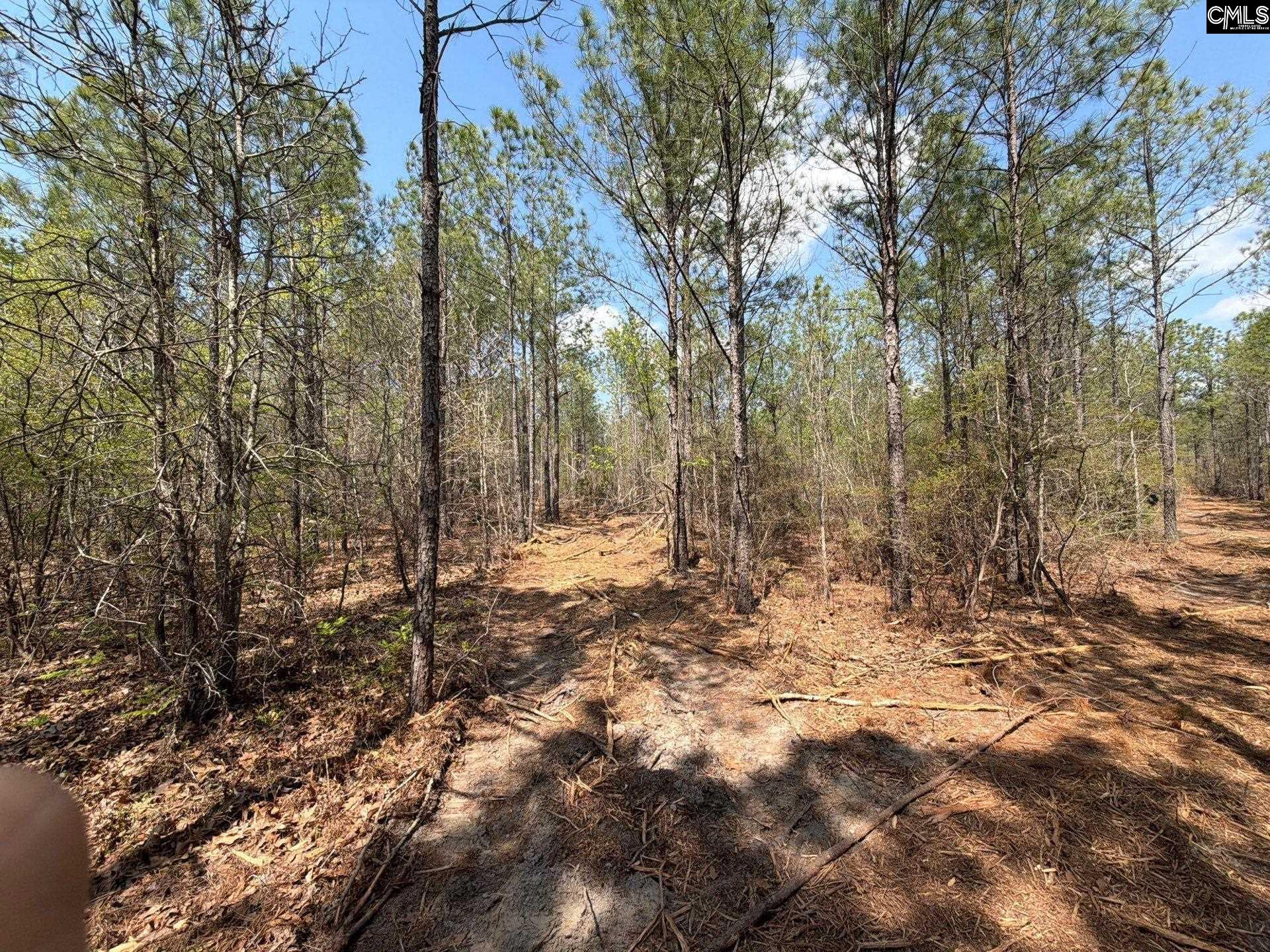 CA 7 Mt. Calvary Road UNIT CA 7 Ridge Spring, SC 29129