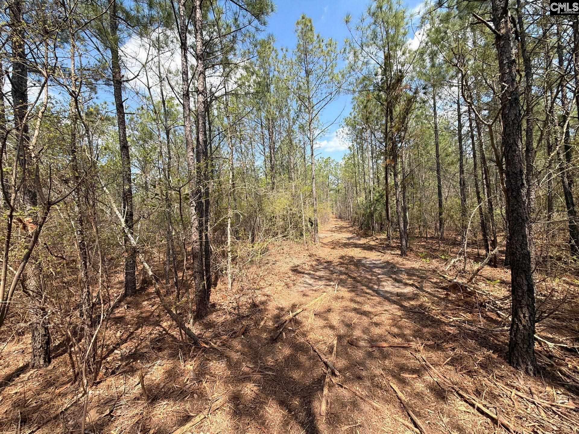 CA 7 Mt. Calvary Road UNIT CA 7 Ridge Spring, SC 29129