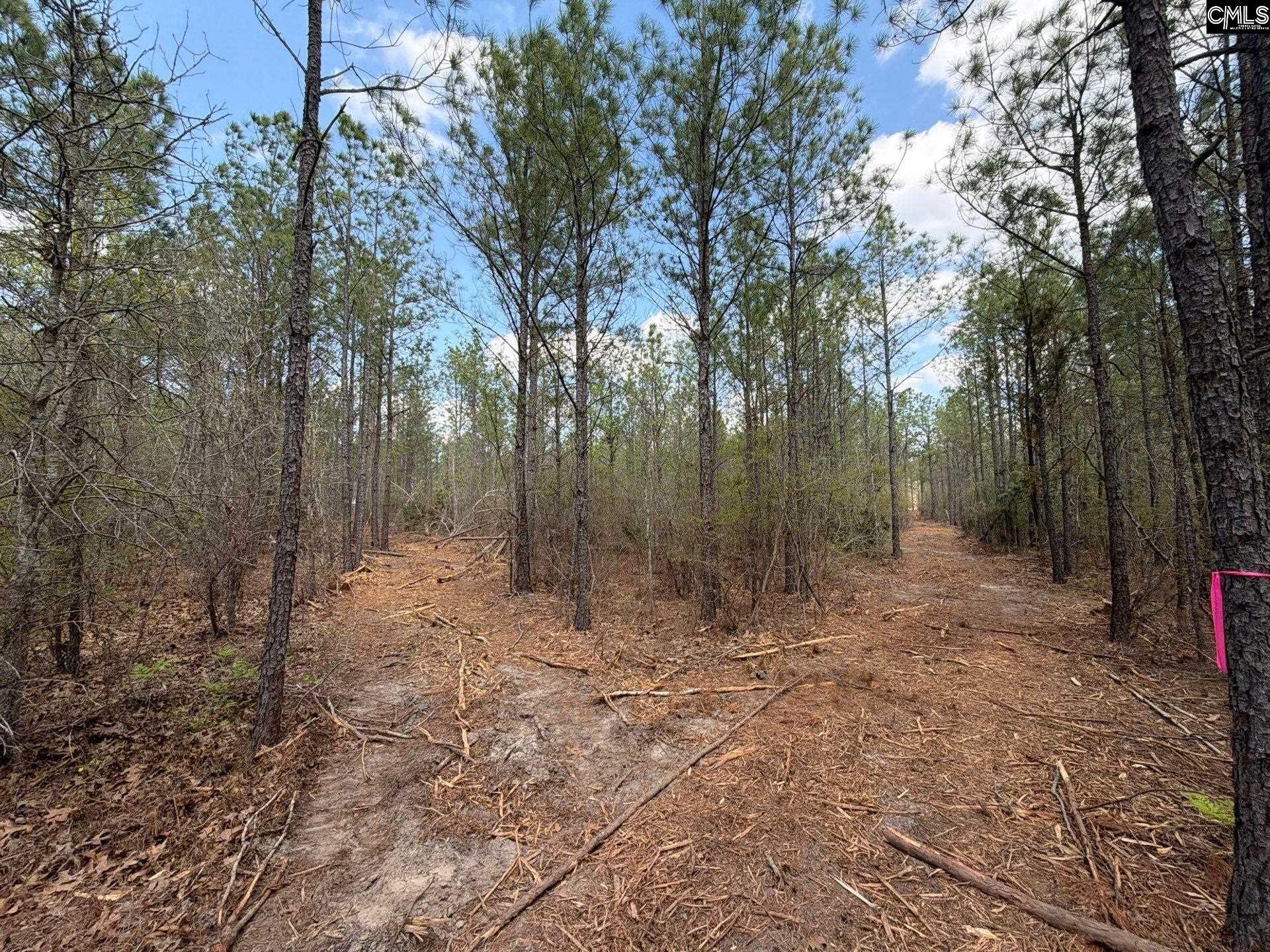 CA 7 Mt. Calvary Road UNIT CA 7 Ridge Spring, SC 29129