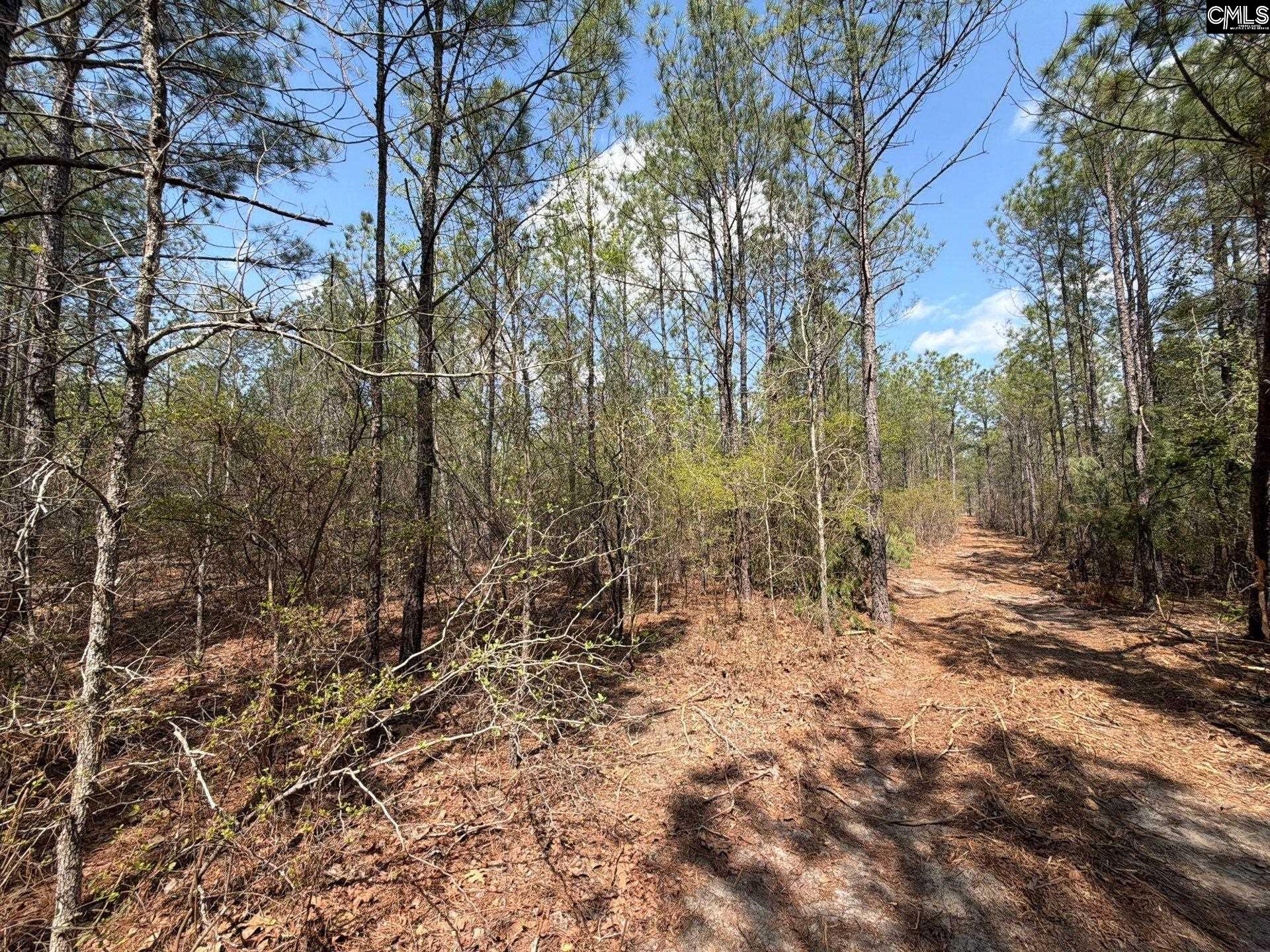 CA 7 Mt. Calvary Road UNIT CA 7 Ridge Spring, SC 29129