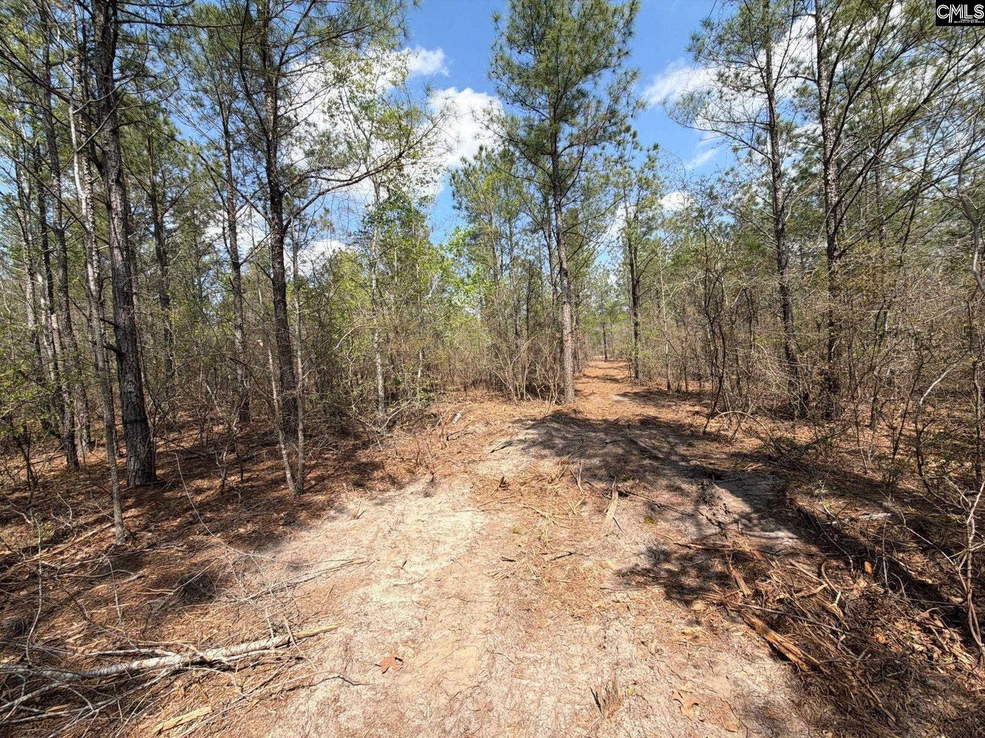 CA 7 Mt. Calvary Road UNIT CA 7 Ridge Spring, SC 29129