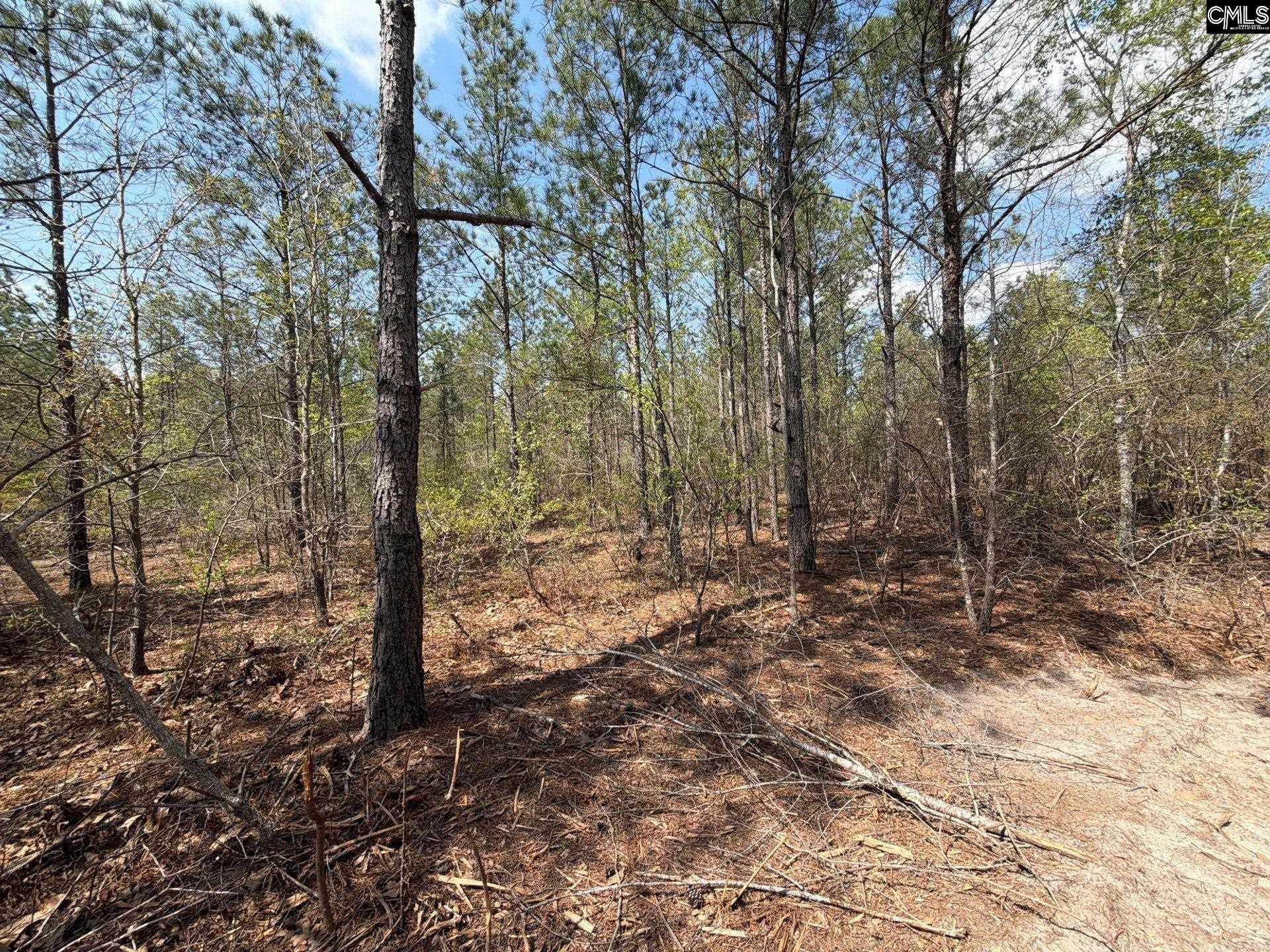 CA 7 Mt. Calvary Road UNIT CA 7 Ridge Spring, SC 29129