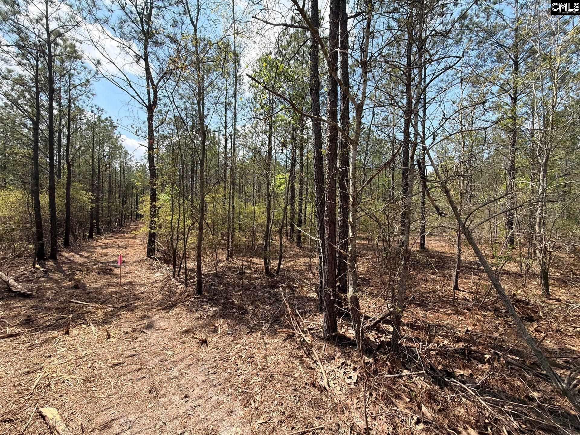 CA 7 Mt. Calvary Road UNIT CA 7 Ridge Spring, SC 29129