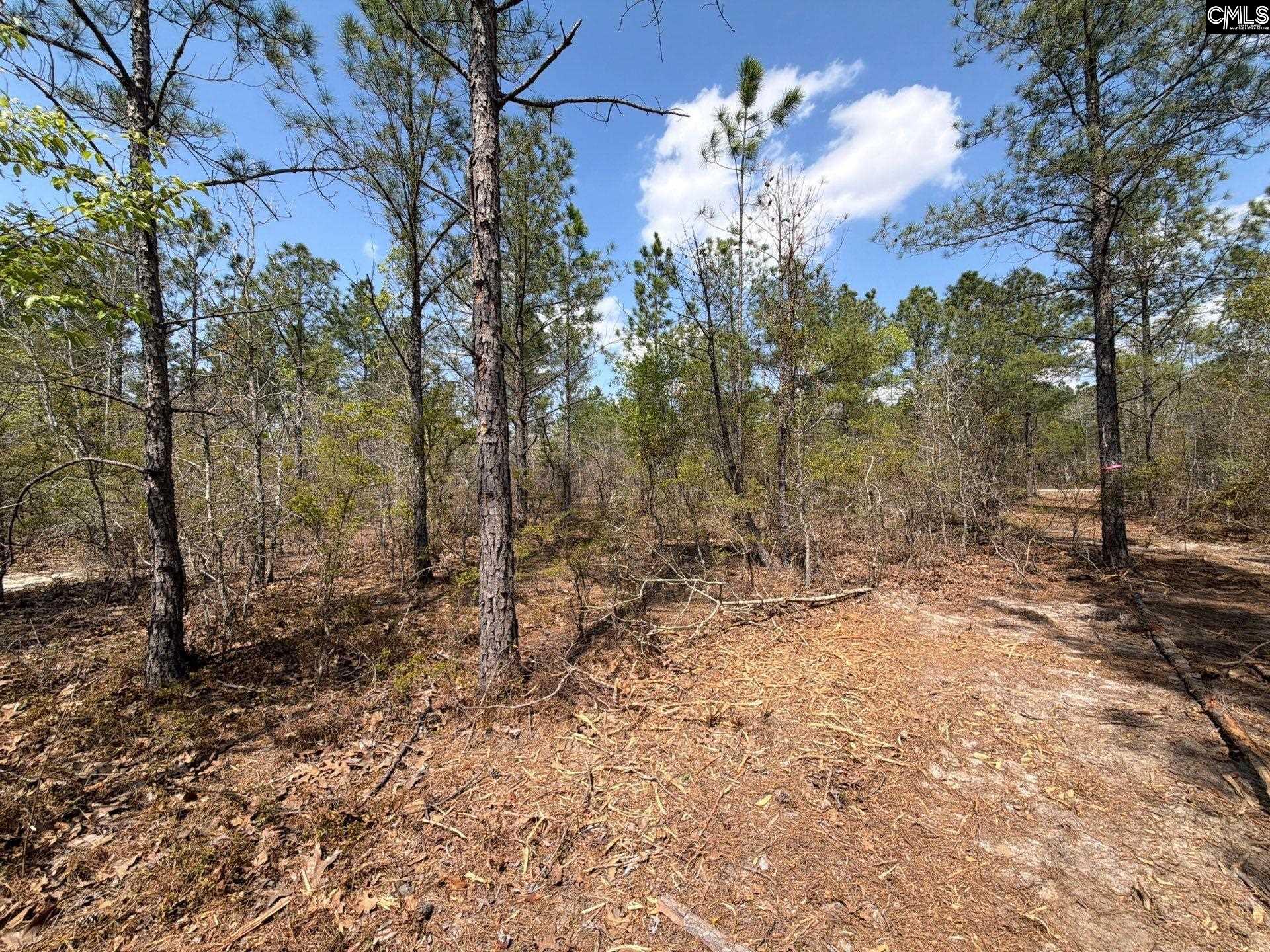 CA 7 Mt. Calvary Road UNIT CA 7 Ridge Spring, SC 29129