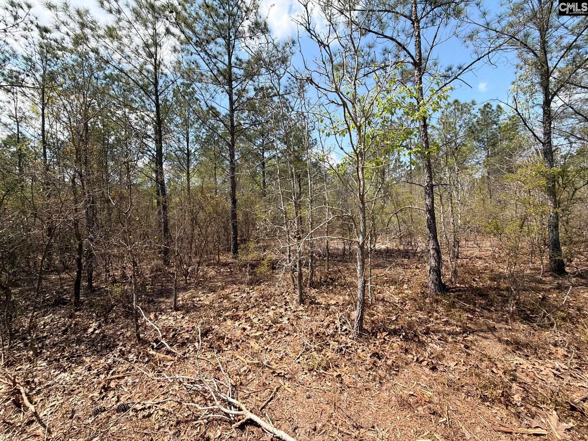 CA 7 Mt. Calvary Road UNIT CA 7 Ridge Spring, SC 29129