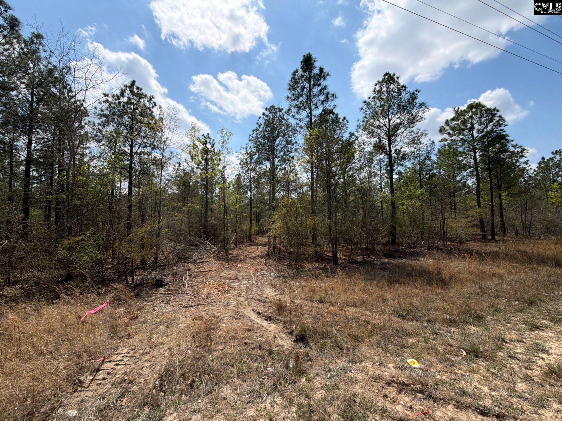 CA 7 Mt. Calvary Road UNIT CA 7 Ridge Spring, SC 29129