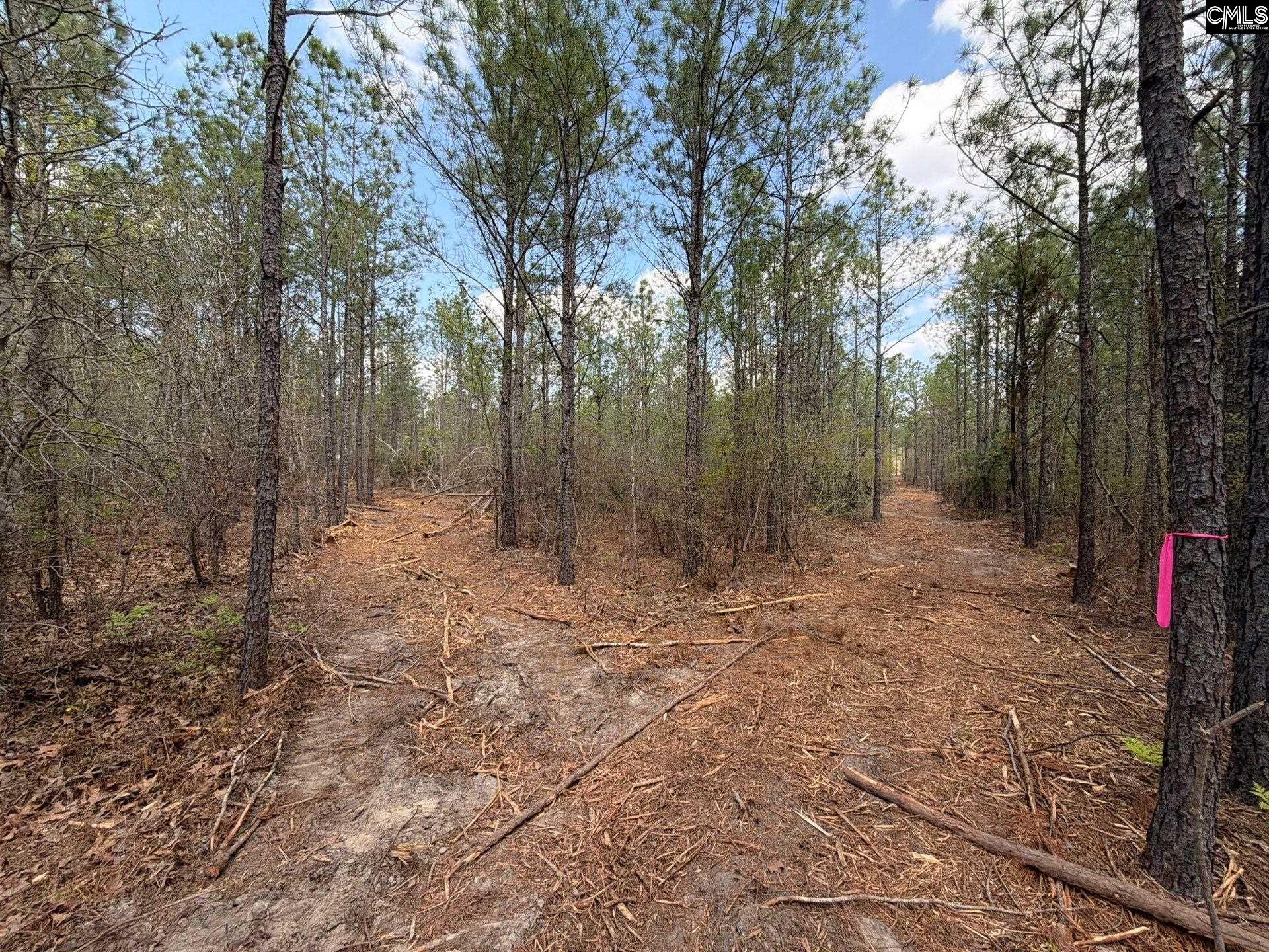 CA 7 Mt. Calvary Road UNIT CA 7 Ridge Spring, SC 29129