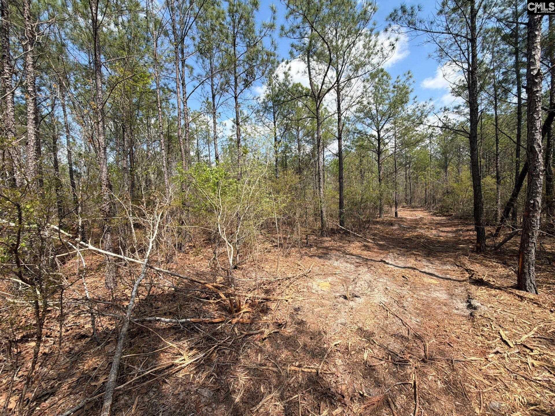 CA 7 Mt. Calvary Road UNIT CA 7 Ridge Spring, SC 29129