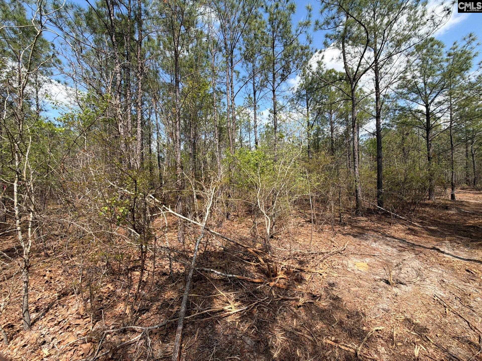 CA 7 Mt. Calvary Road UNIT CA 7 Ridge Spring, SC 29129