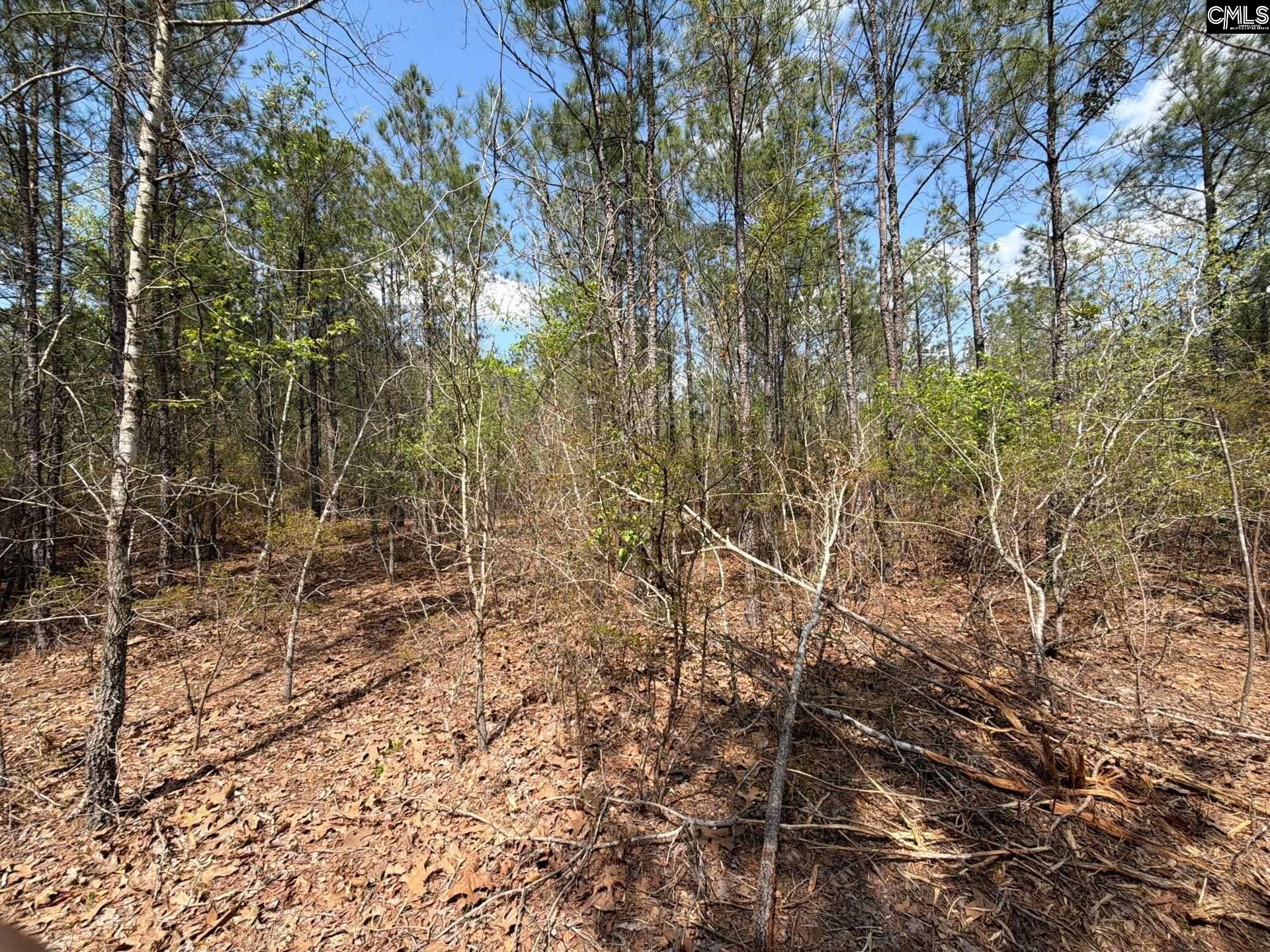 CA 7 Mt. Calvary Road UNIT CA 7 Ridge Spring, SC 29129
