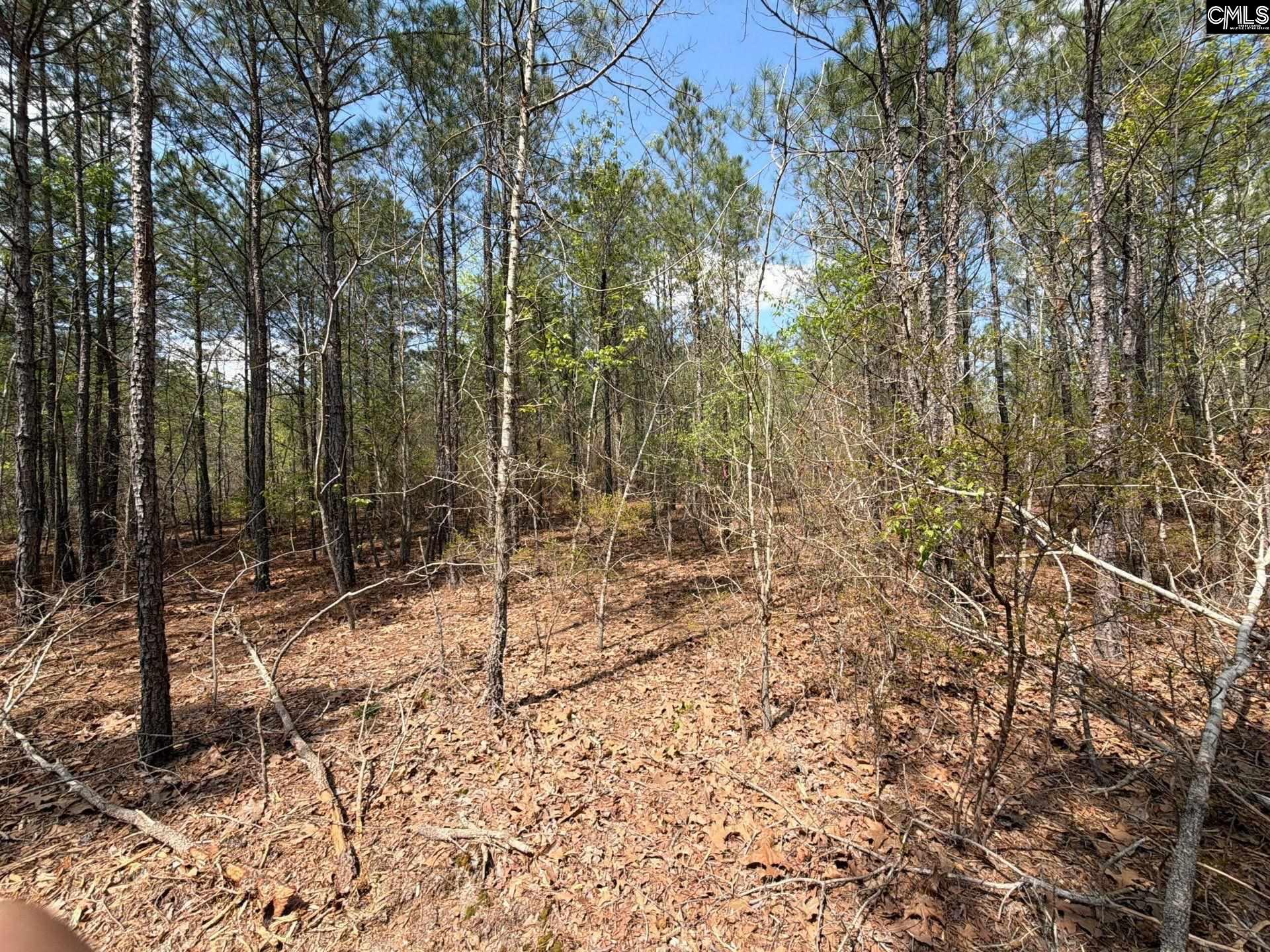 CA 7 Mt. Calvary Road UNIT CA 7 Ridge Spring, SC 29129